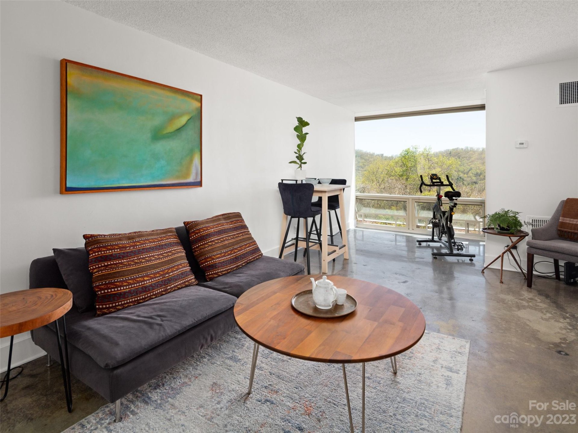 Property image 1 at 647 Town Mountain Road, Asheville, NC 28804