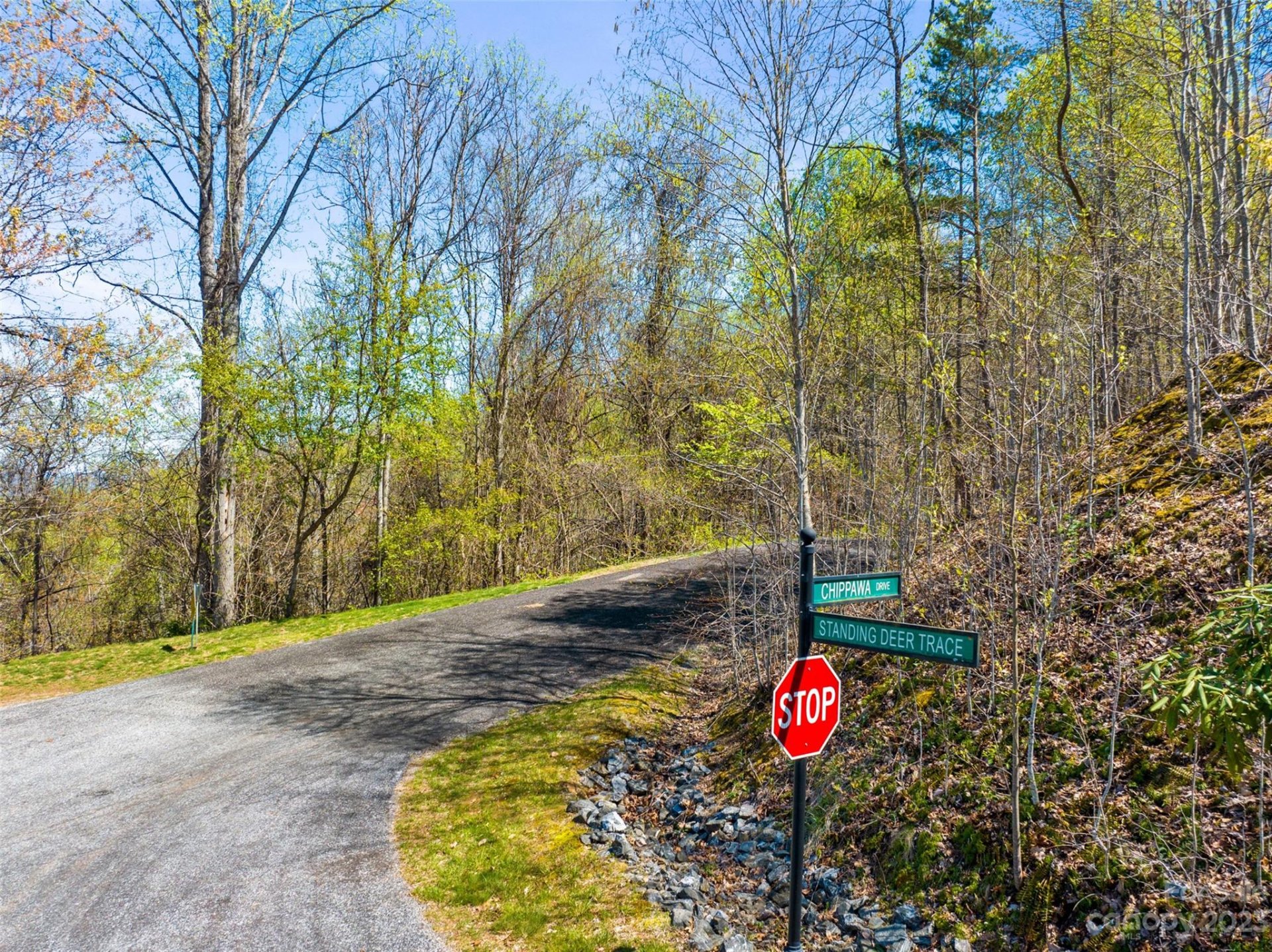 Property image 4 at 1030 Chippawa Drive, Arden, NC 28704