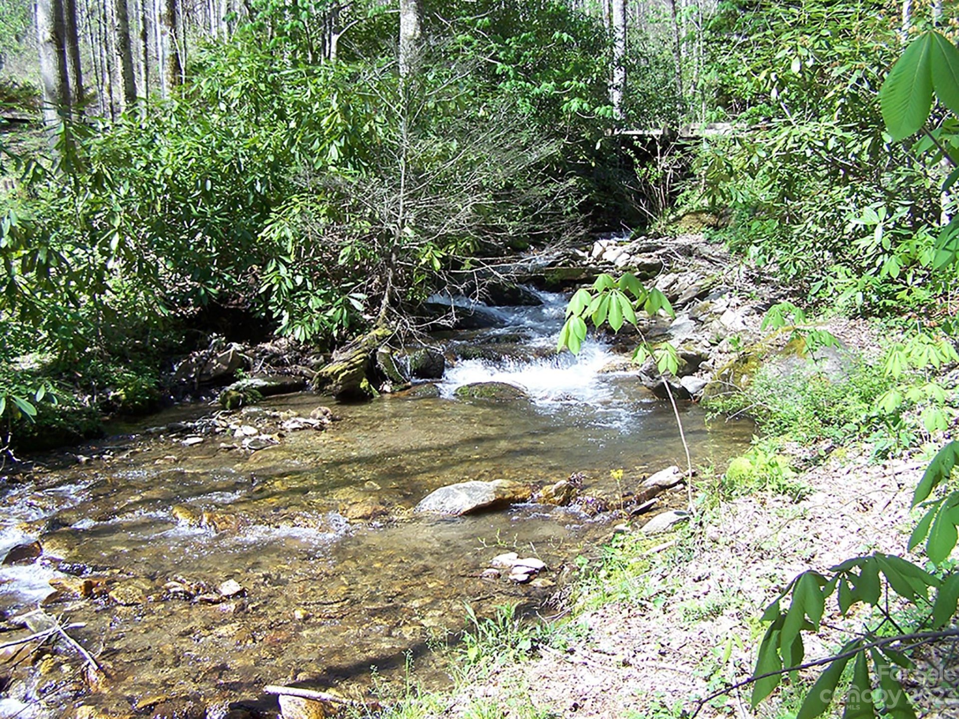 Property image 1 at 000 Chestnut Flats Lane, Waynesville, NC 28786