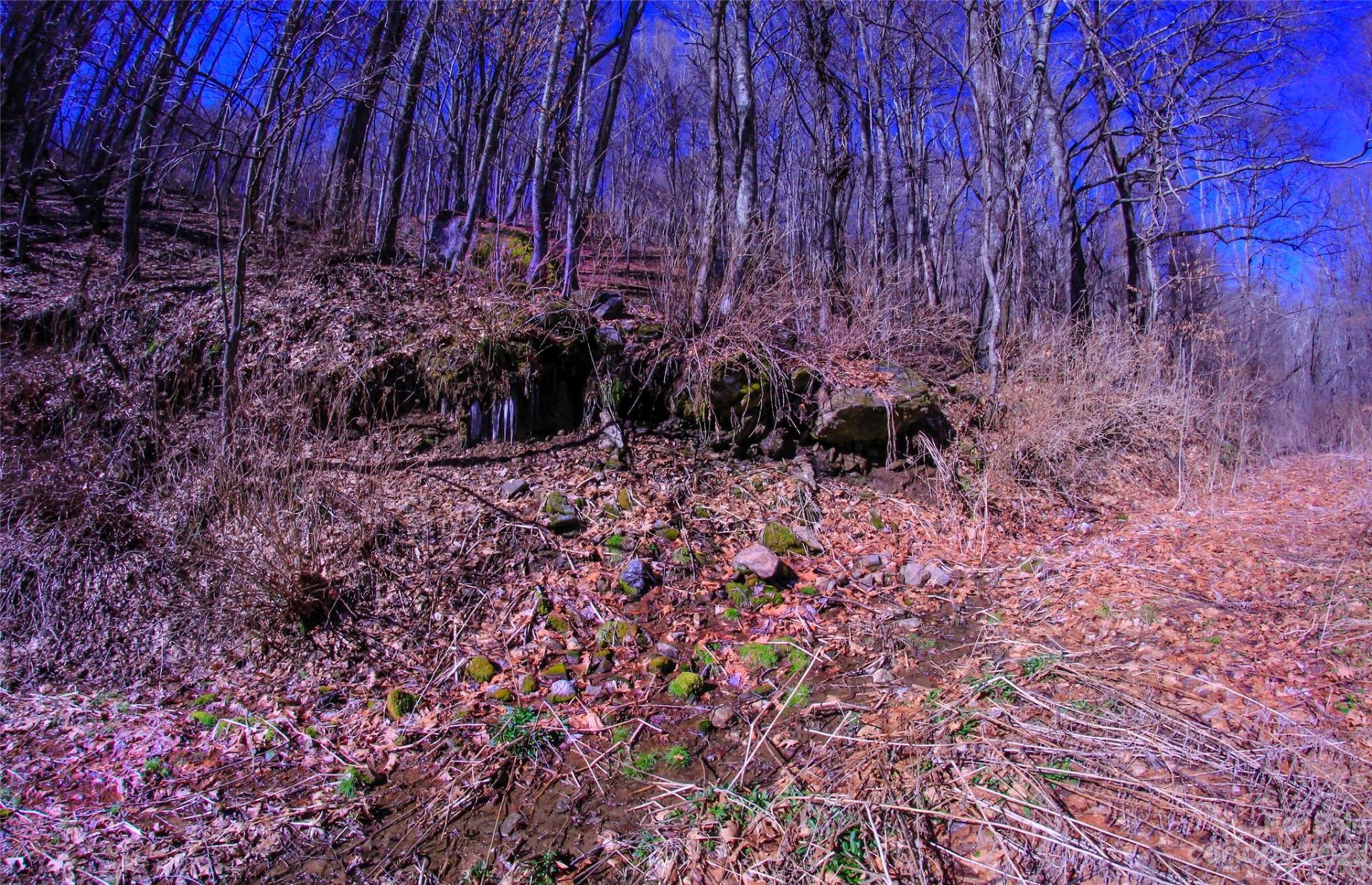 Property image 1 at 00 South Cove Road, Canton, NC 28716