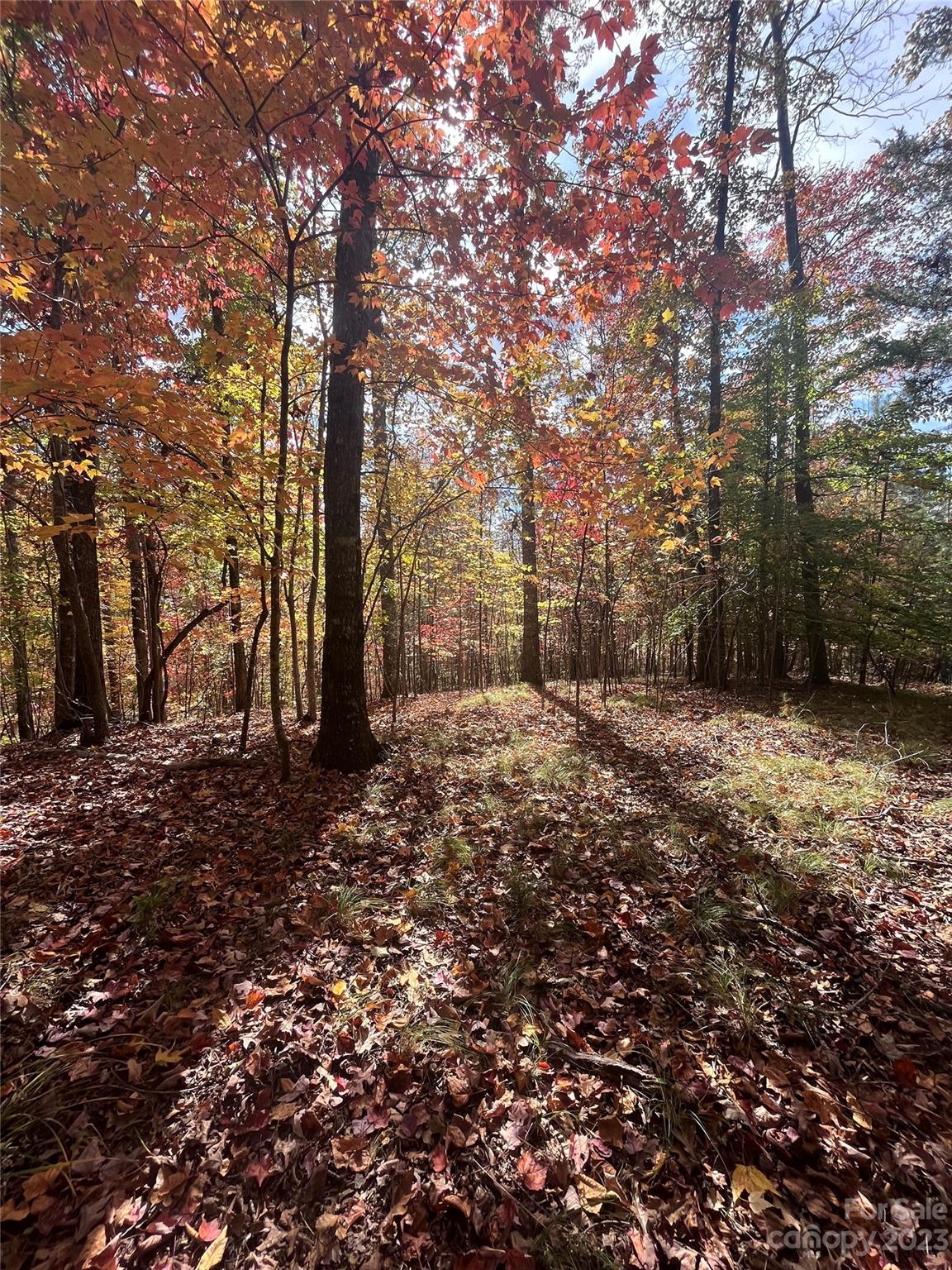 Property image 1 at 0 Valley Drive, Rutherfordton, NC 28139