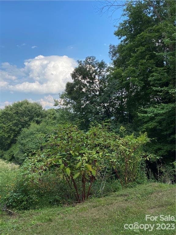 Property image 1 at 4 And 4b Salisbury Cove, Waynesville, NC 28785