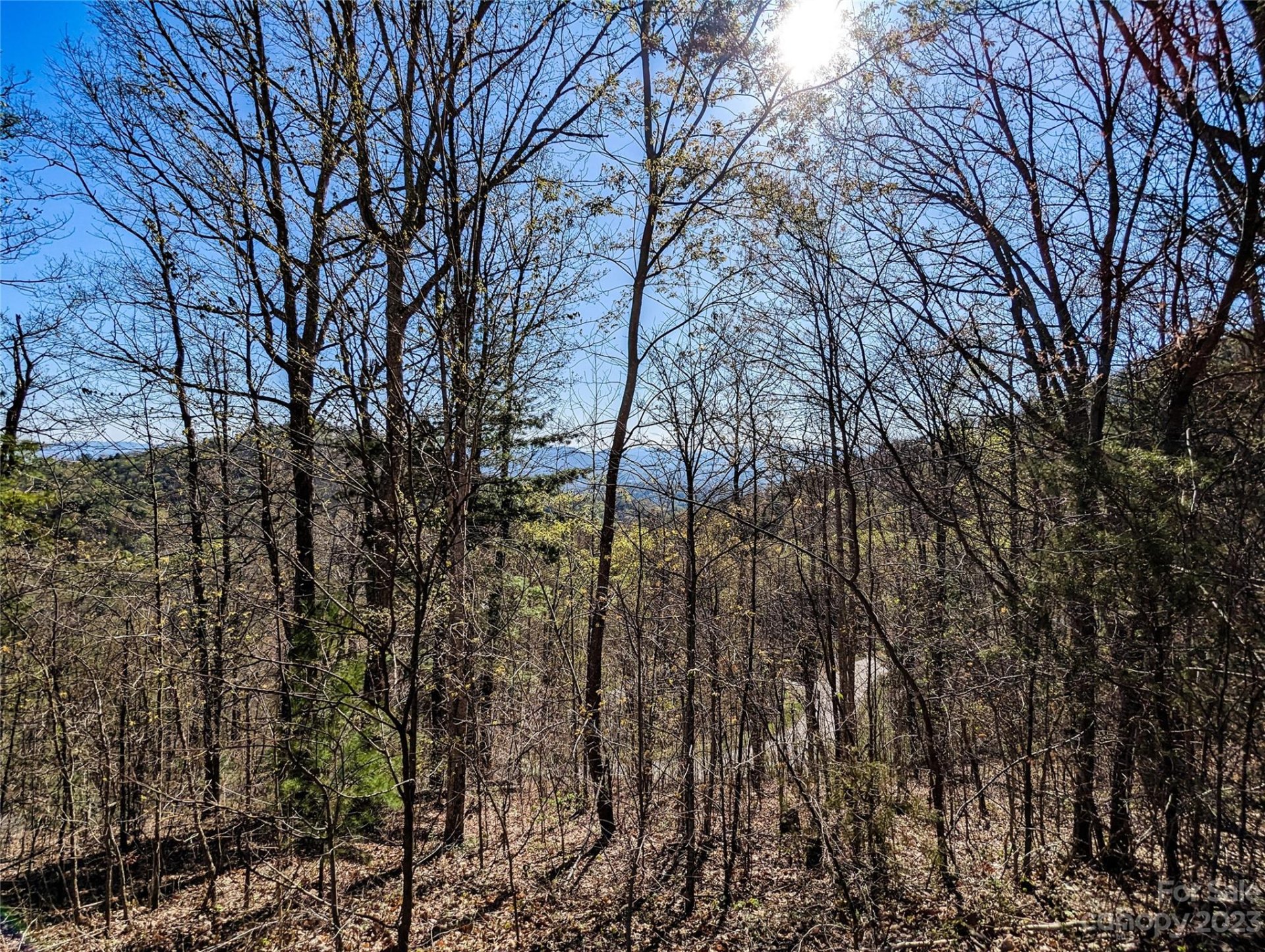 Property image 1 at 8 Waxwing Way, Asheville, NC 28804