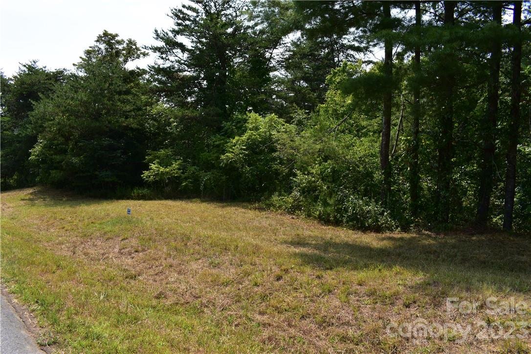 Property image 1 at Lot 15 16 South Pine Drive, Weaverville, NC 28787