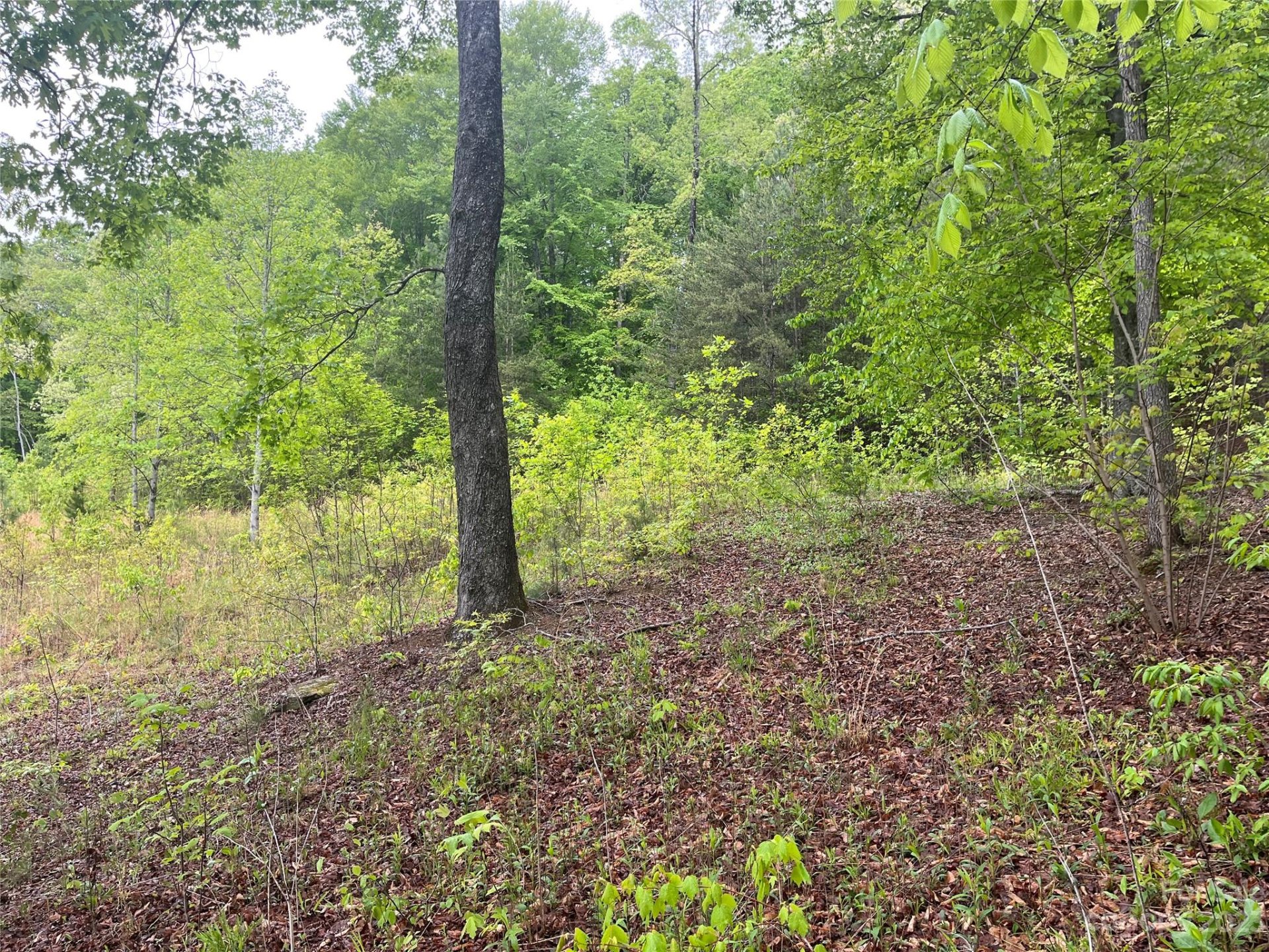 Property image 4 at 6e Lakeview Drive, Marion, NC 28752
