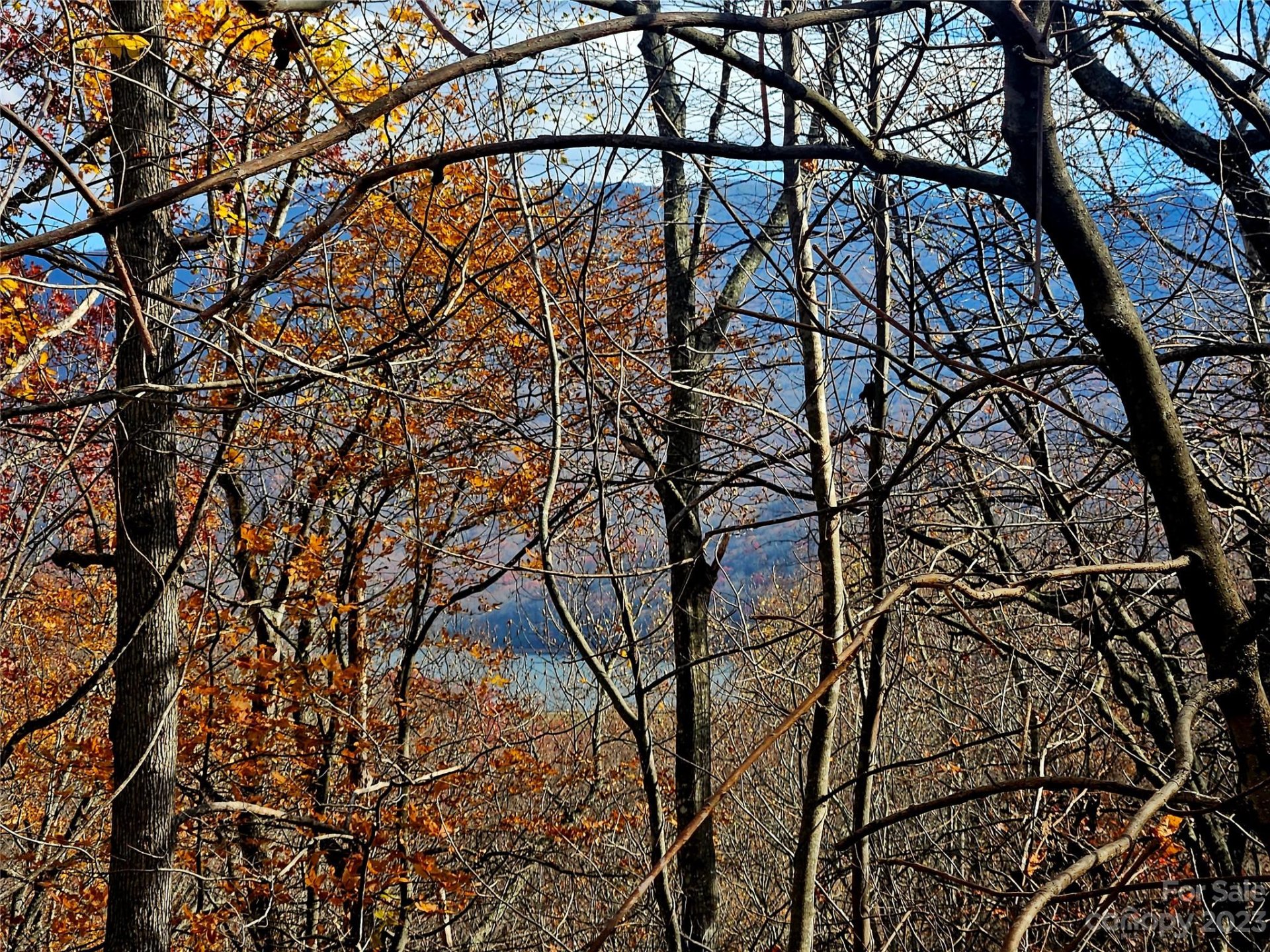 Property image 1 at 14 Great Aspen Way, Black Mountain, NC 28711