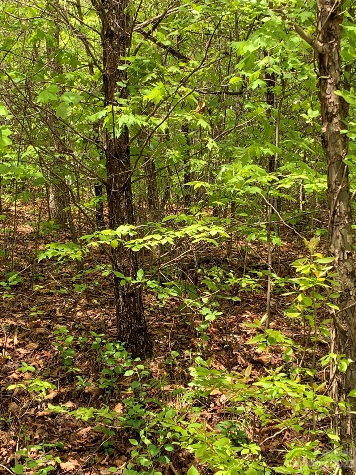Property image 1 at 00 Deer Crossing Drive, Marion, NC 28752