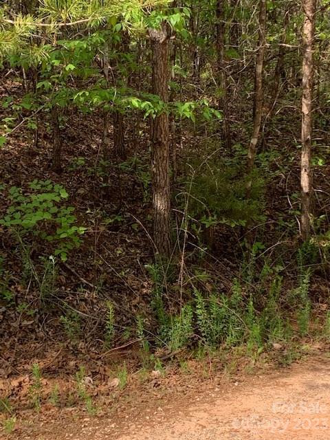 Property image 2 at 00 Deer Crossing Drive, Marion, NC 28752