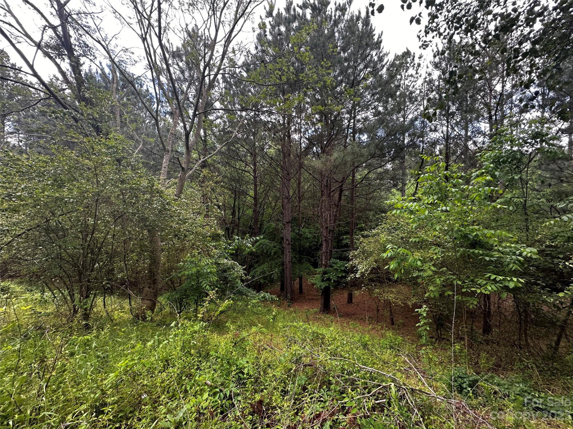 Property image 2 at 2809 Windswept Cove, York, SC 29745