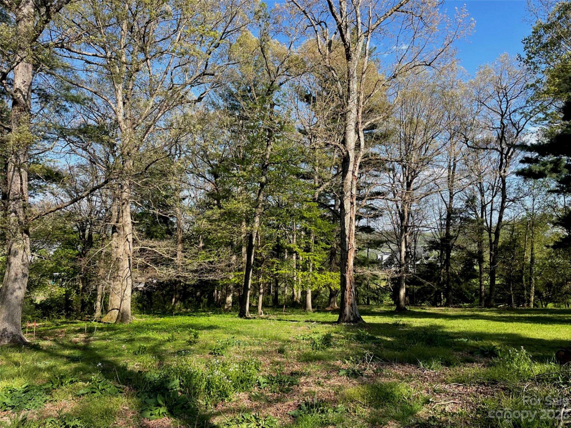 184 Majestic Ridge Road