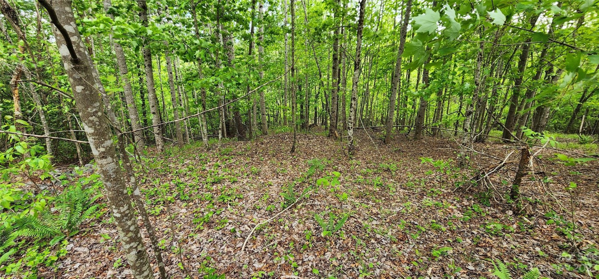 Property image 1 at Lot 23 S Cross Creek Trail, Mill Spring, NC 28756