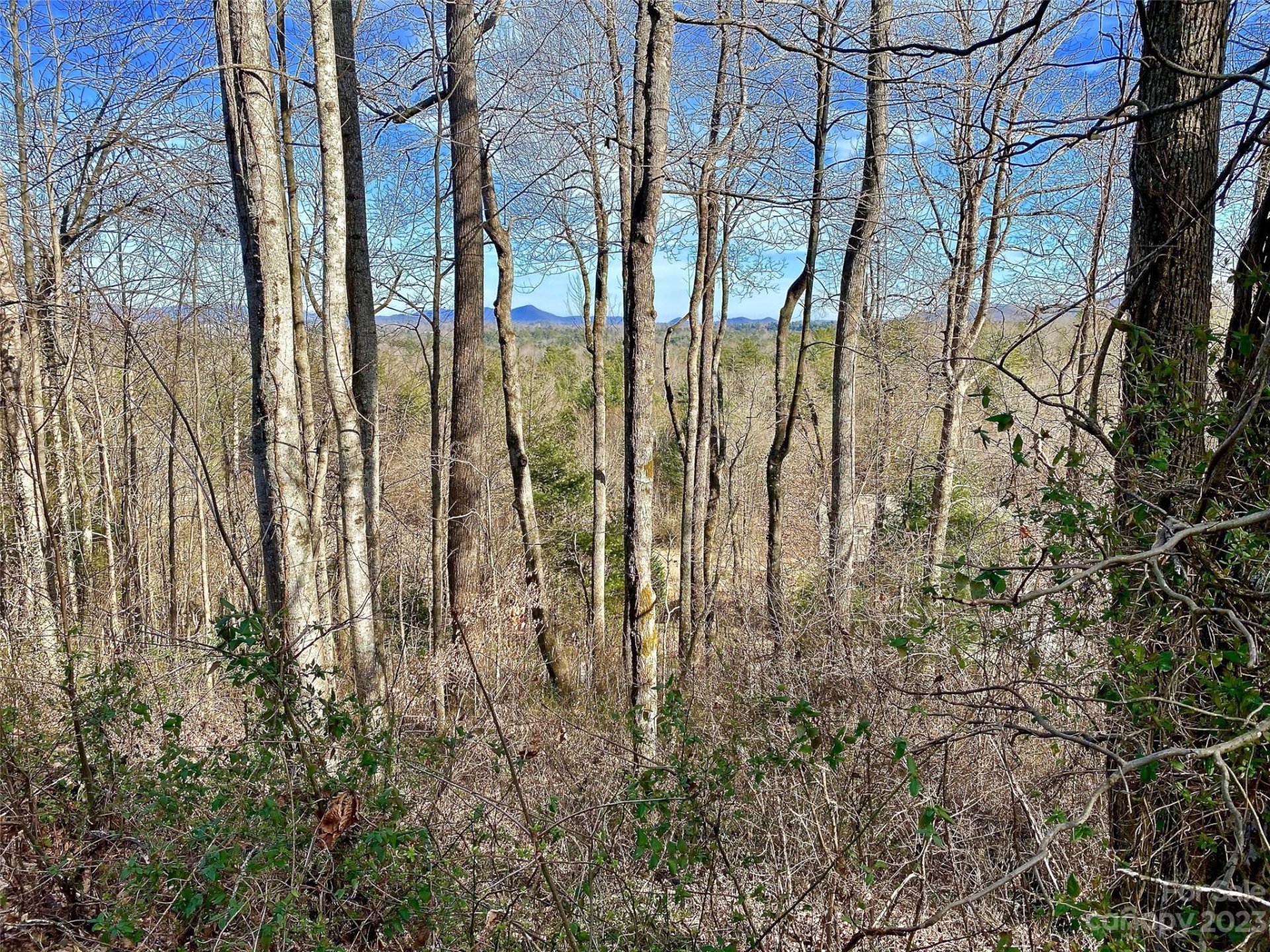 Property image 1 at 174 High Road Overlook, Hendersonville, NC 28739