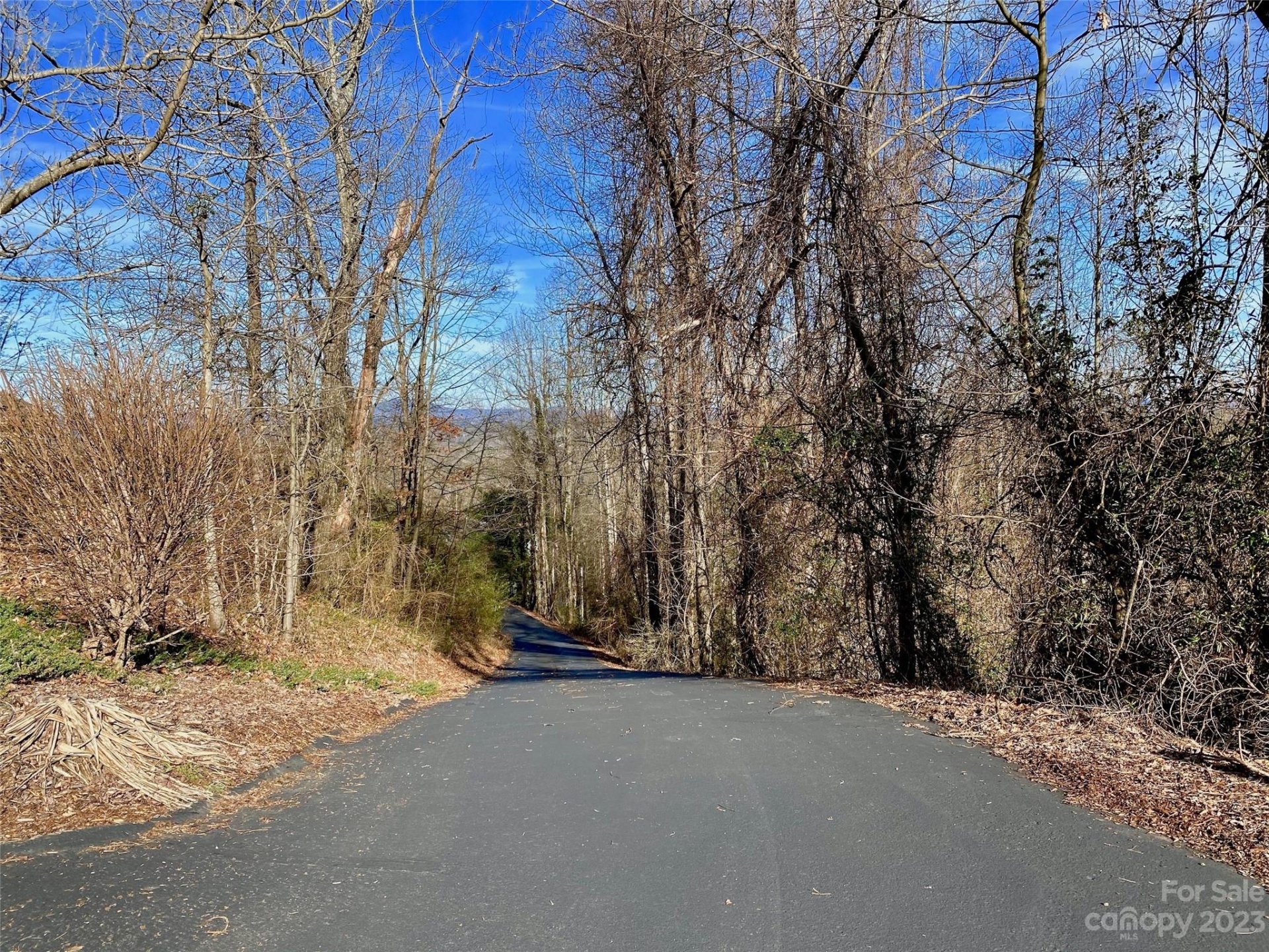 Property image 3 at 174 High Road Overlook, Hendersonville, NC 28739