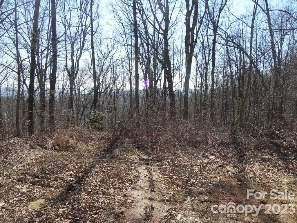 Property at 9999 Dj Drive, Fairview, NC 28730