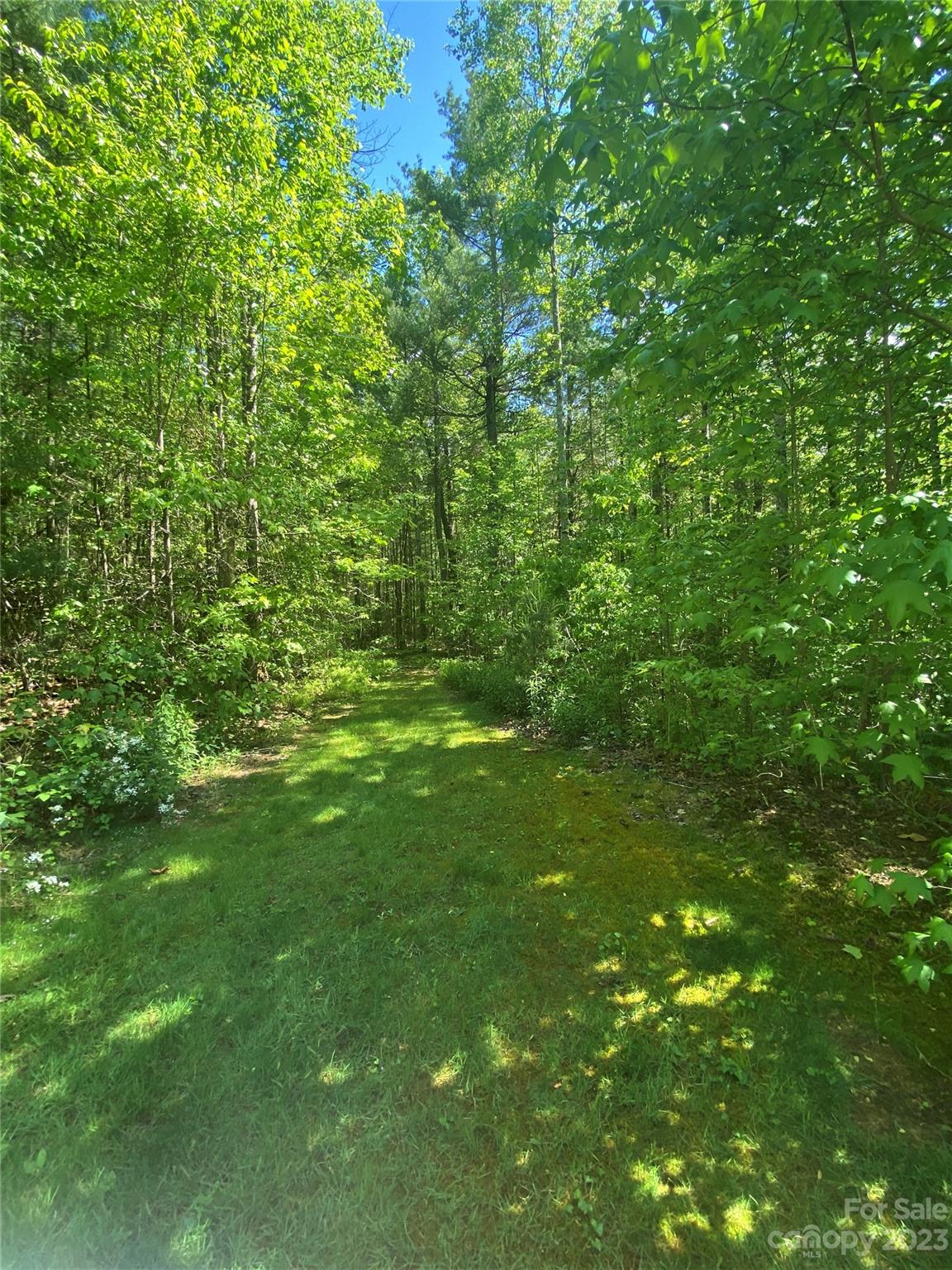 Property image 4 at 108 Mystic Pines Way, Hendersonville, NC 28739