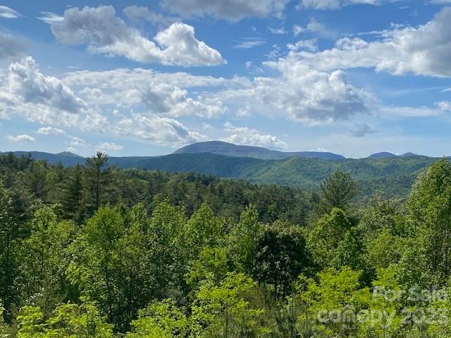 Property image 1 at Lot 58 Peppervine Circle, Rosman, NC 28772