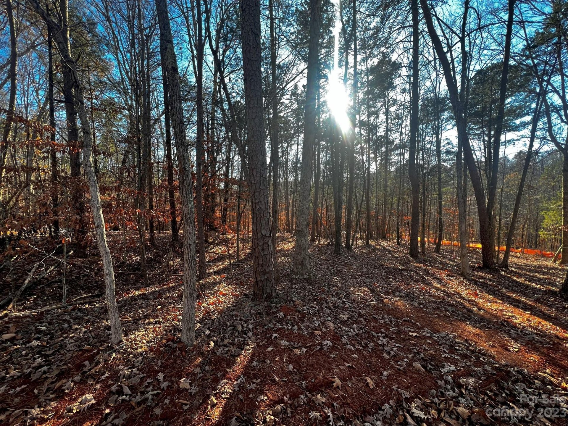 Property image 2 at 157 Copper Pine Lane, Davidson, NC 28036