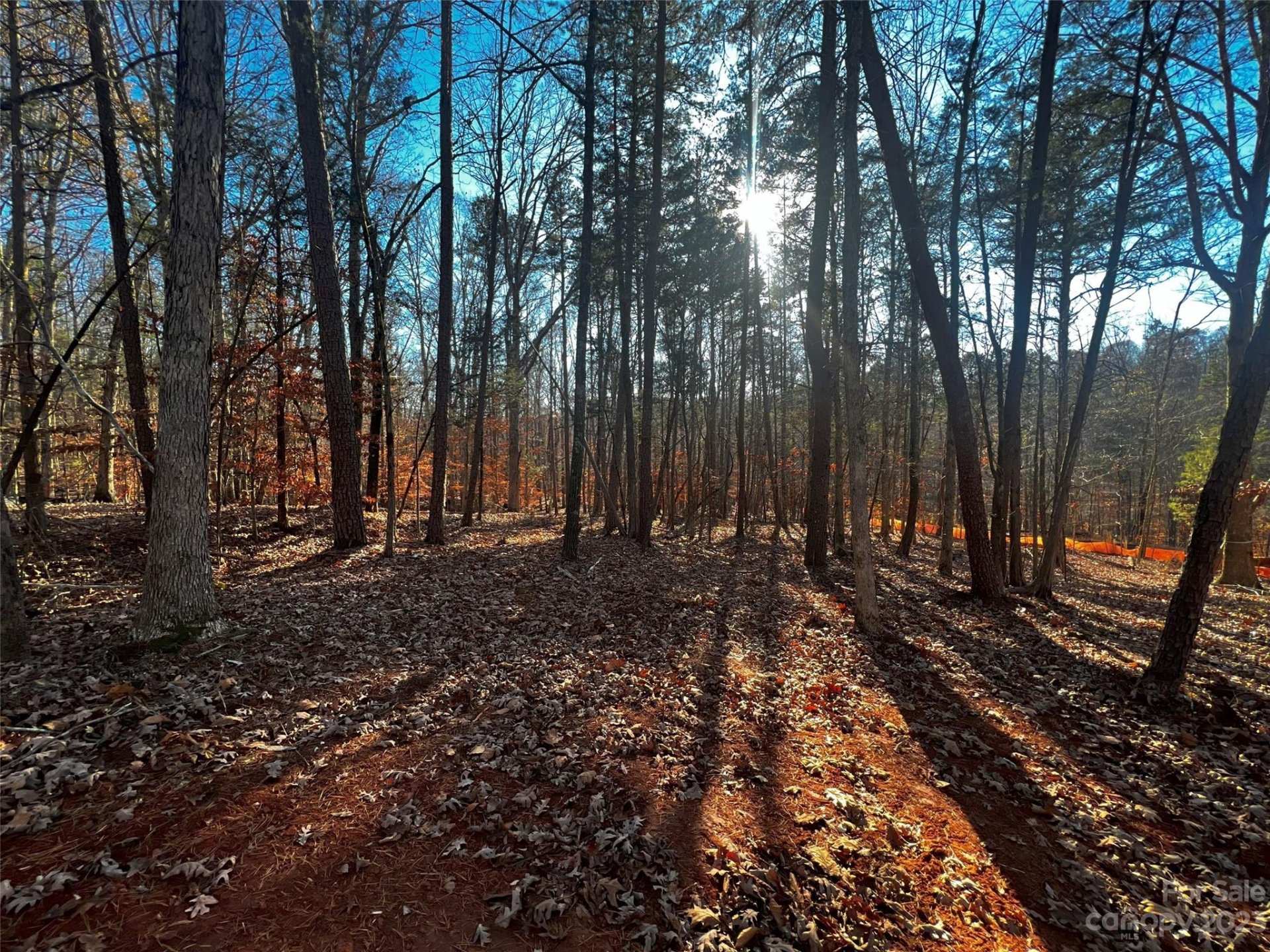 Property image 3 at 157 Copper Pine Lane, Davidson, NC 28036