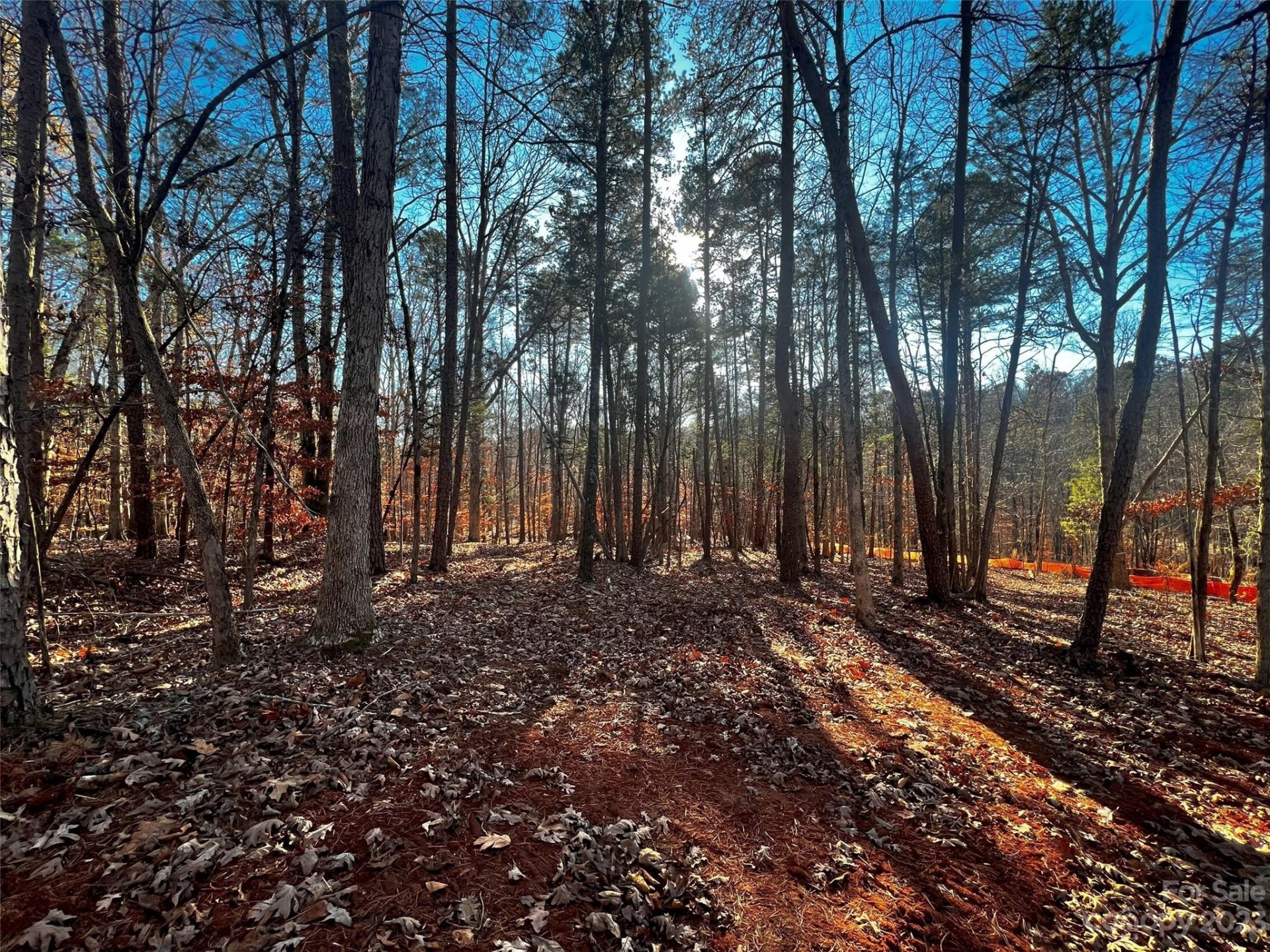 Property image 4 at 157 Copper Pine Lane, Davidson, NC 28036