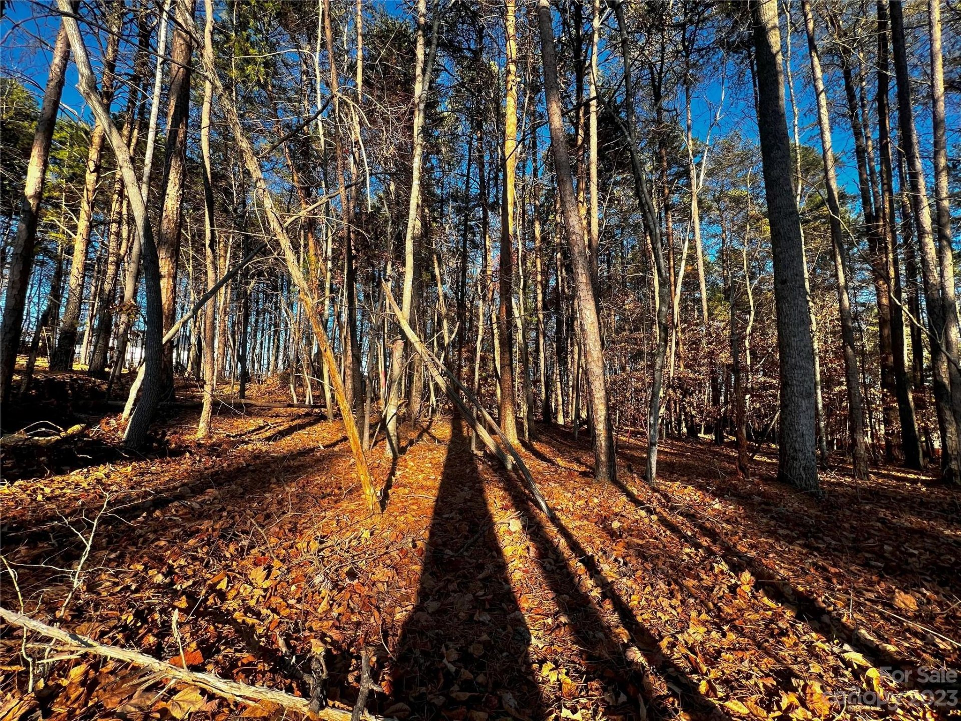 129 Hunt Camp Trail