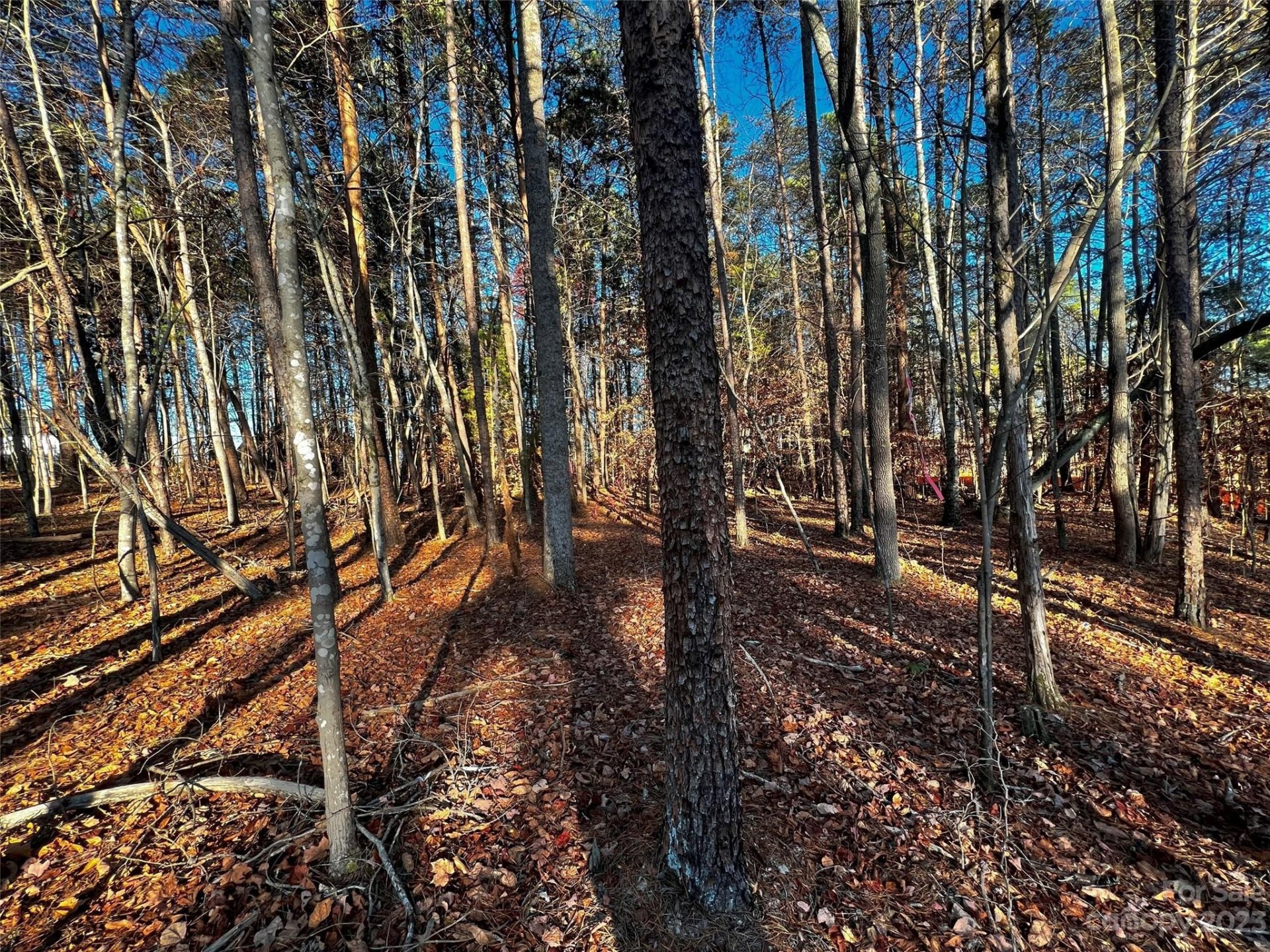 Property image 3 at 129 Hunt Camp Trail, Davidson, NC 28036