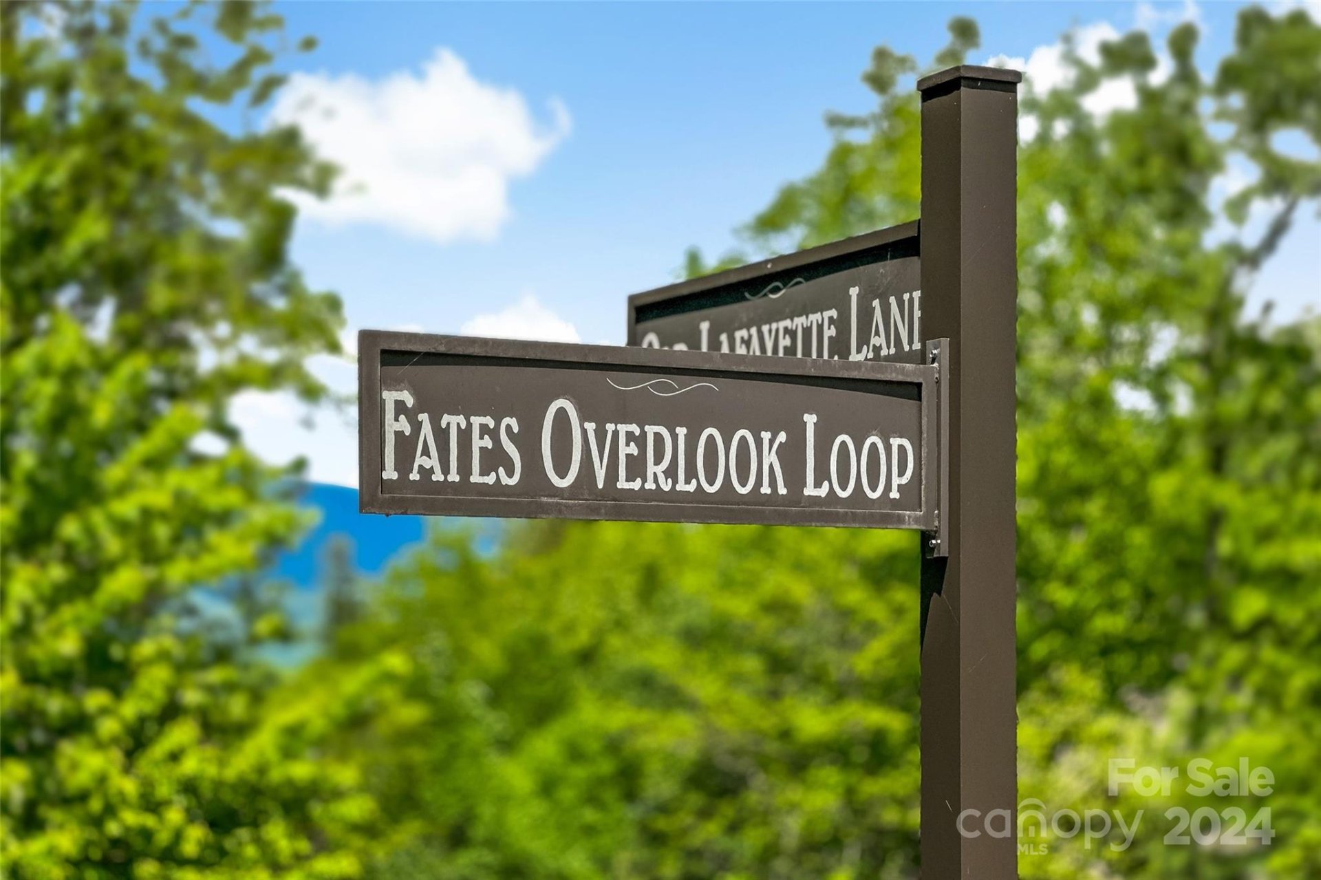 Property image 3 at 15 Fates Overlook Loop, Black Mountain, NC 28711