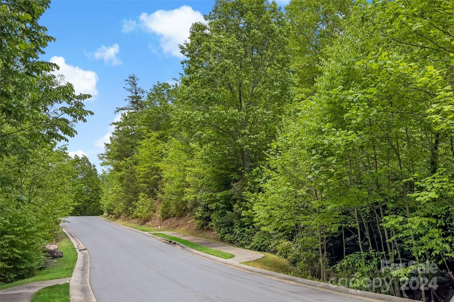 Property image 5 at 15 Fates Overlook Loop, Black Mountain, NC 28711