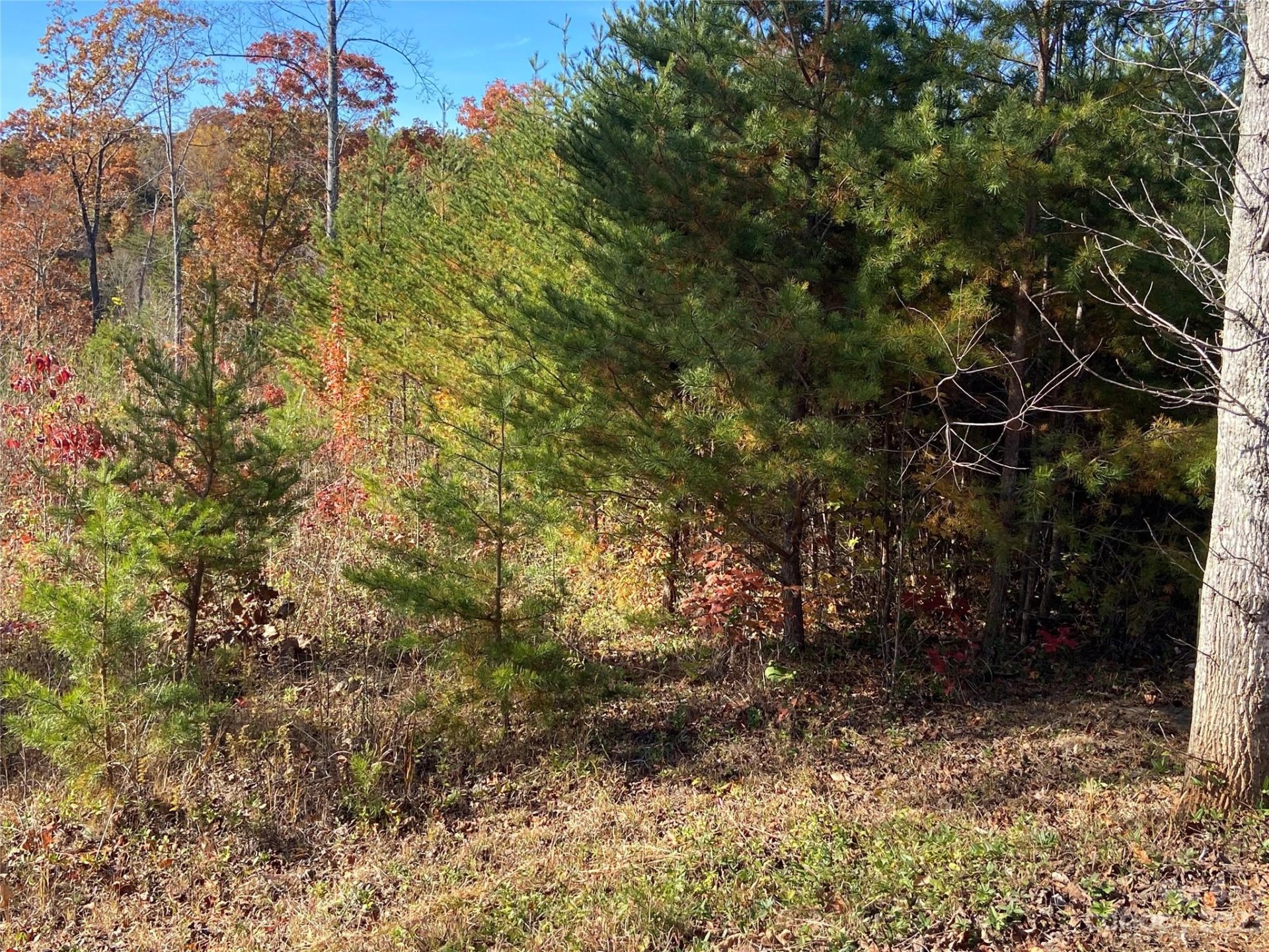 Property image 3 at 0 Deer Jump Trail, Lake Lure, NC 28746
