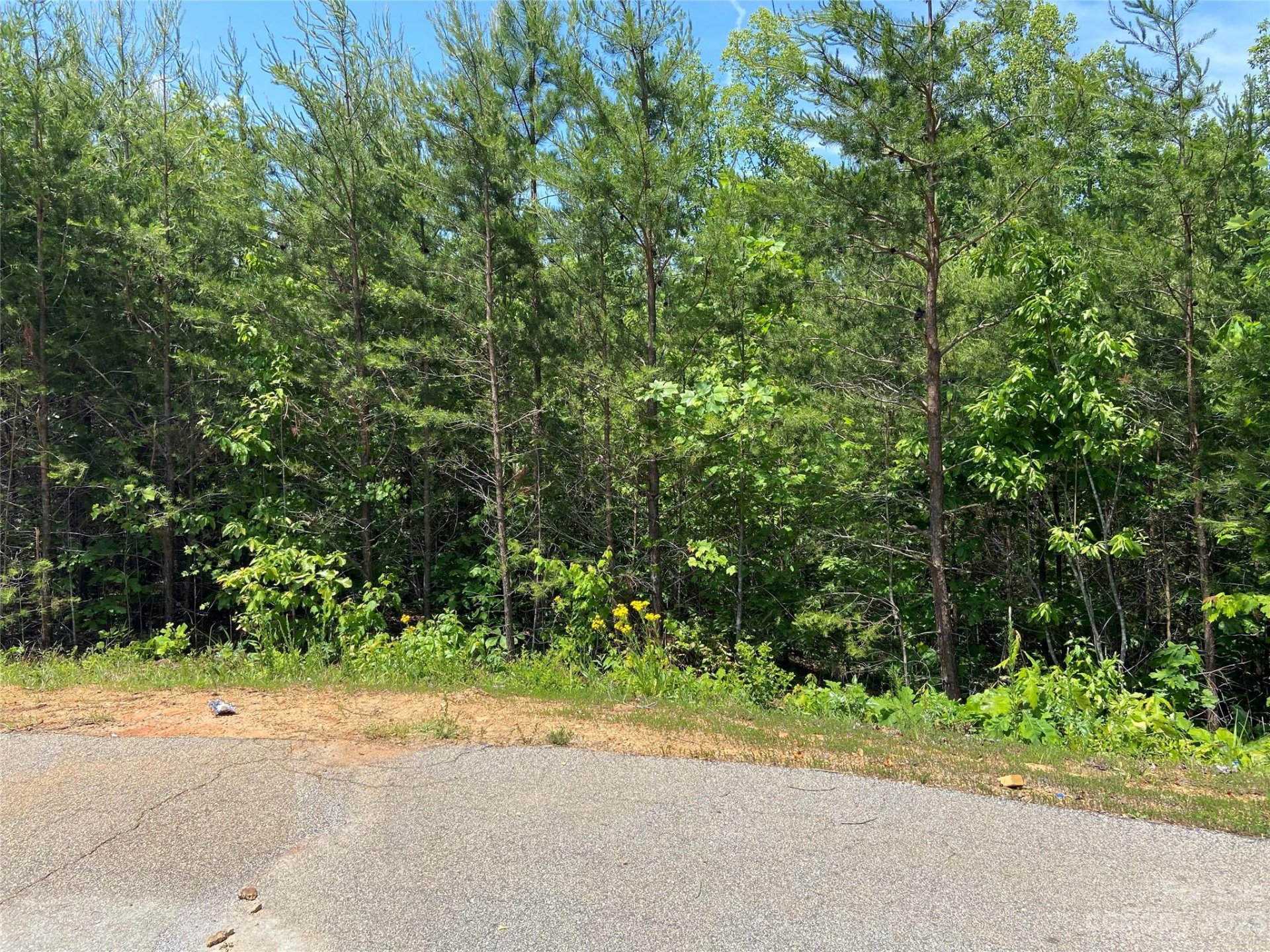 Property image 4 at 0 Deer Jump Trail, Lake Lure, NC 28746