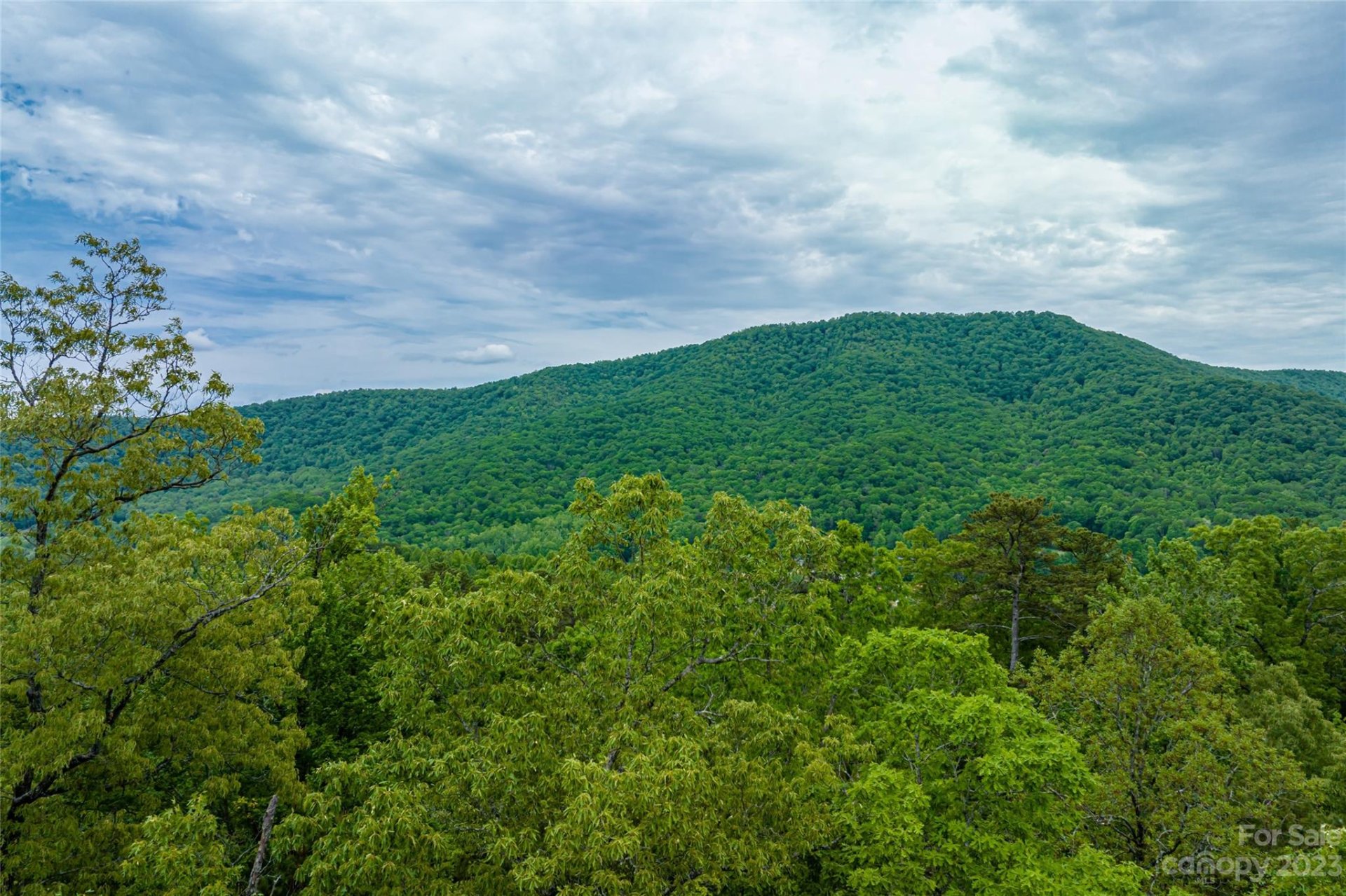 Property image 1 at 218 Watershed Way, Horse Shoe, NC 28742