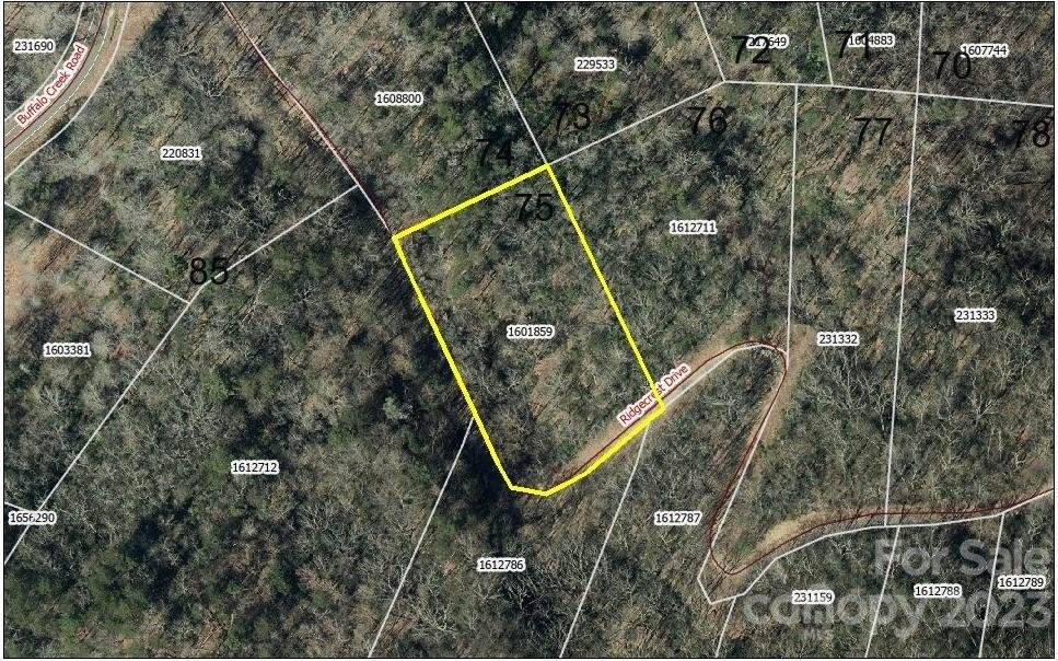 Property image 1 at 0 Ridgecrest Drive, Lake Lure, NC 28746