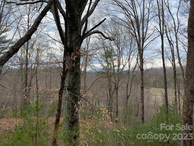 Property image 4 at Lot 6 Theresa Terrace Meadows, Nebo, NC 28761