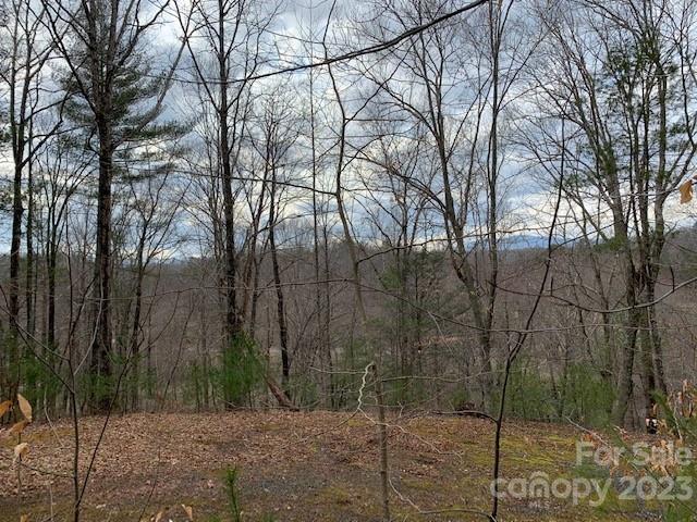 Property image 5 at Lot 6 Theresa Terrace Meadows, Nebo, NC 28761