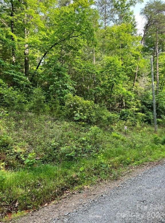 Property image 1 at 000 Birddog Boulevard, Lake Lure, NC 28746