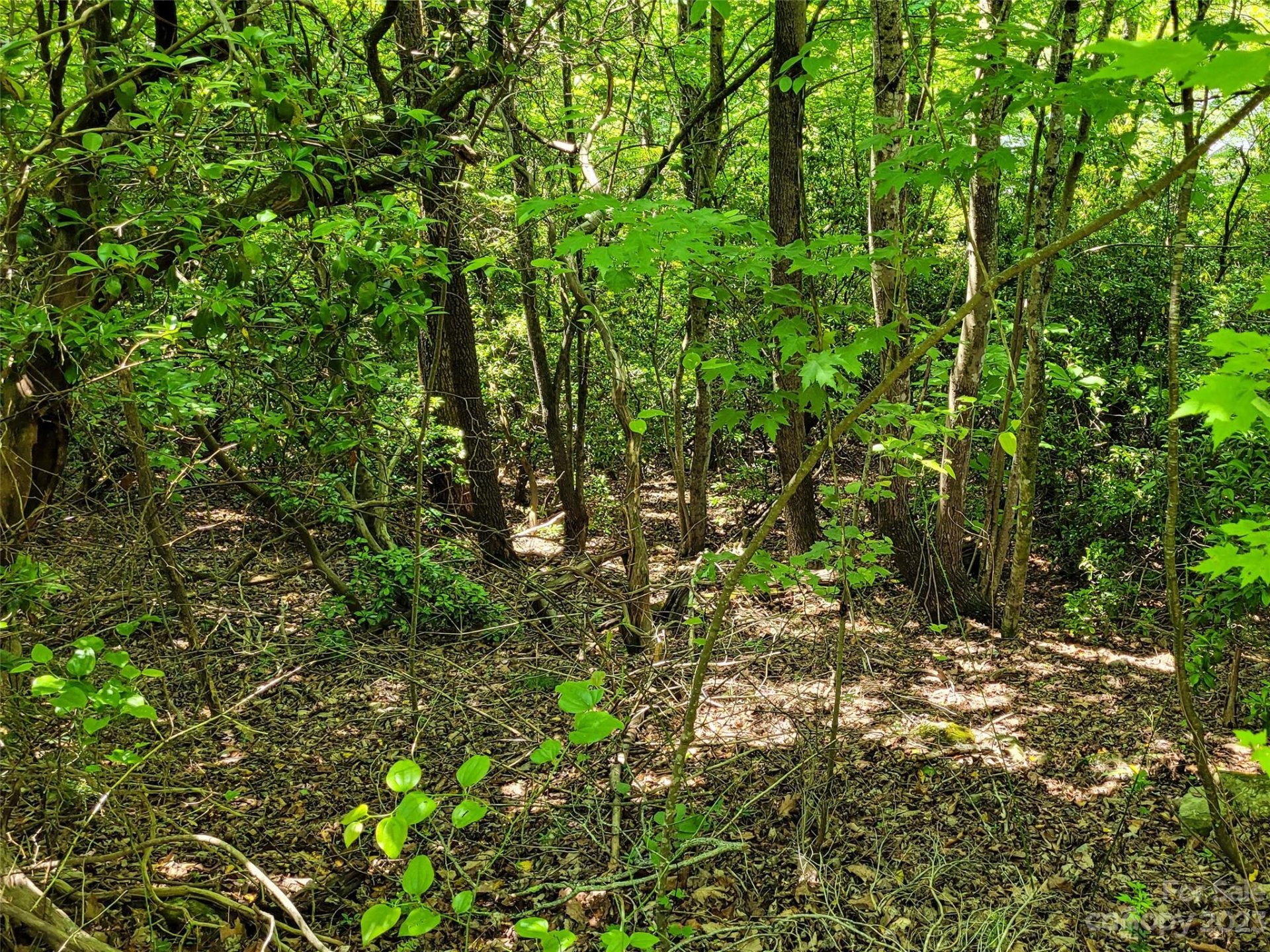 Property image 4 at 216 Bent Pine Trace, Hendersonville, NC 28739