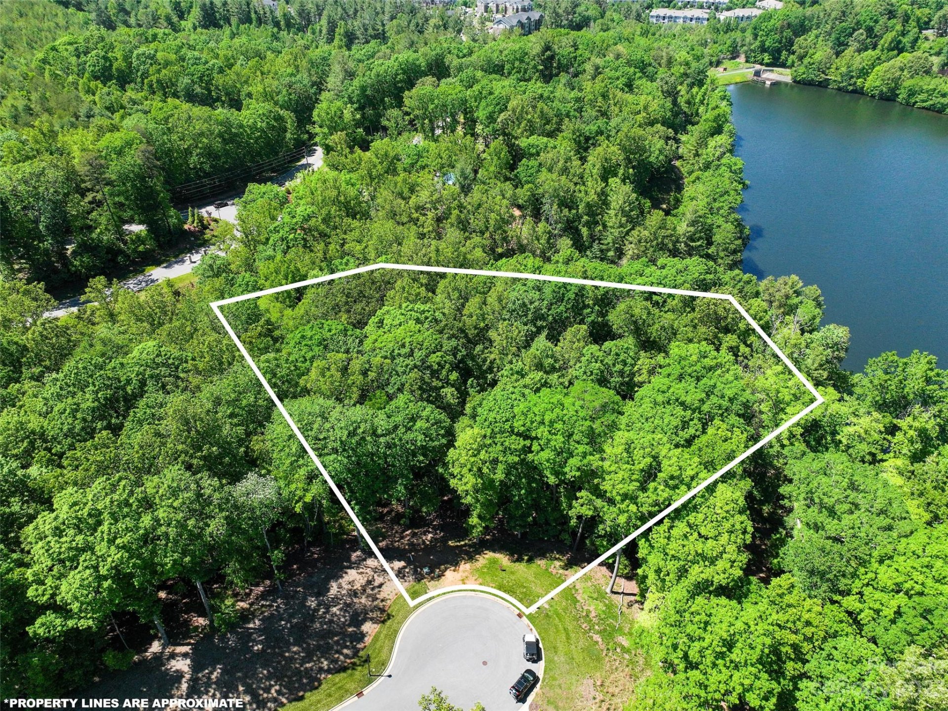 50 Twilight Sedge Drive