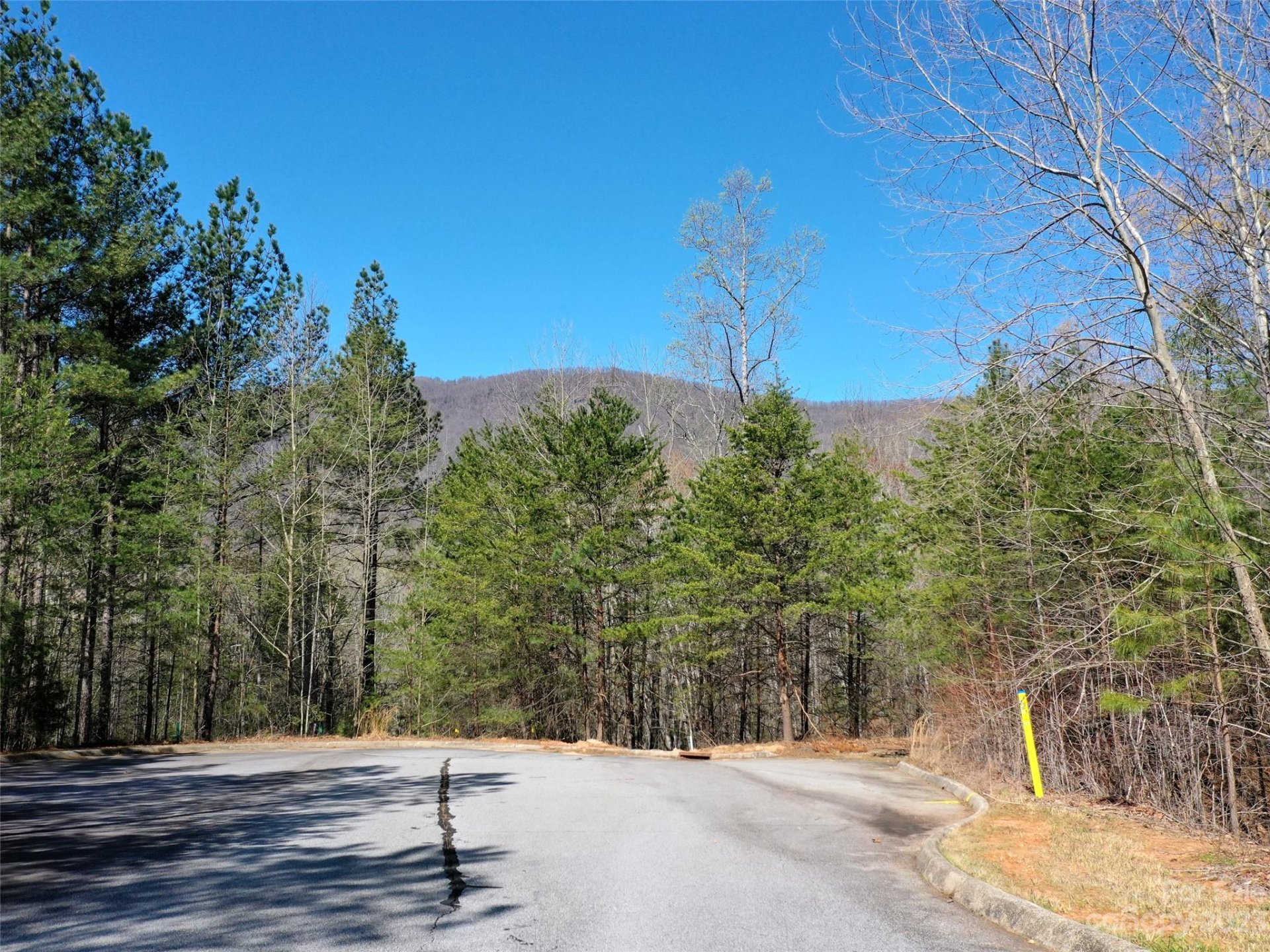 Property image 2 at Lot 25 Monteith Place, Mill Spring, NC 28756