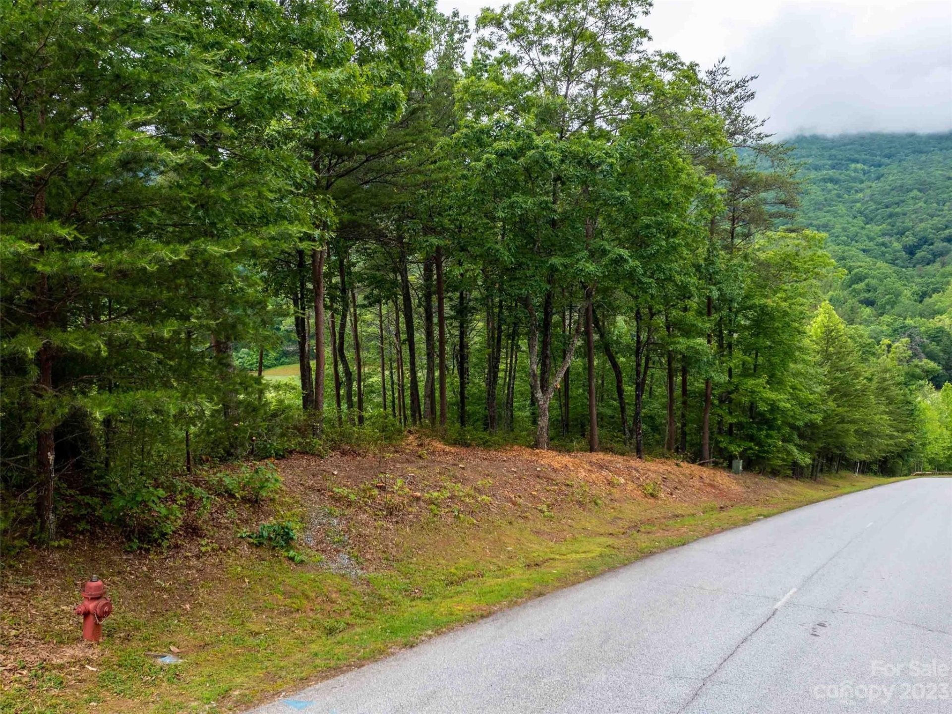 Property image 3 at Lot 43 Deep Gap Farm Road, Mill Spring, NC 28756