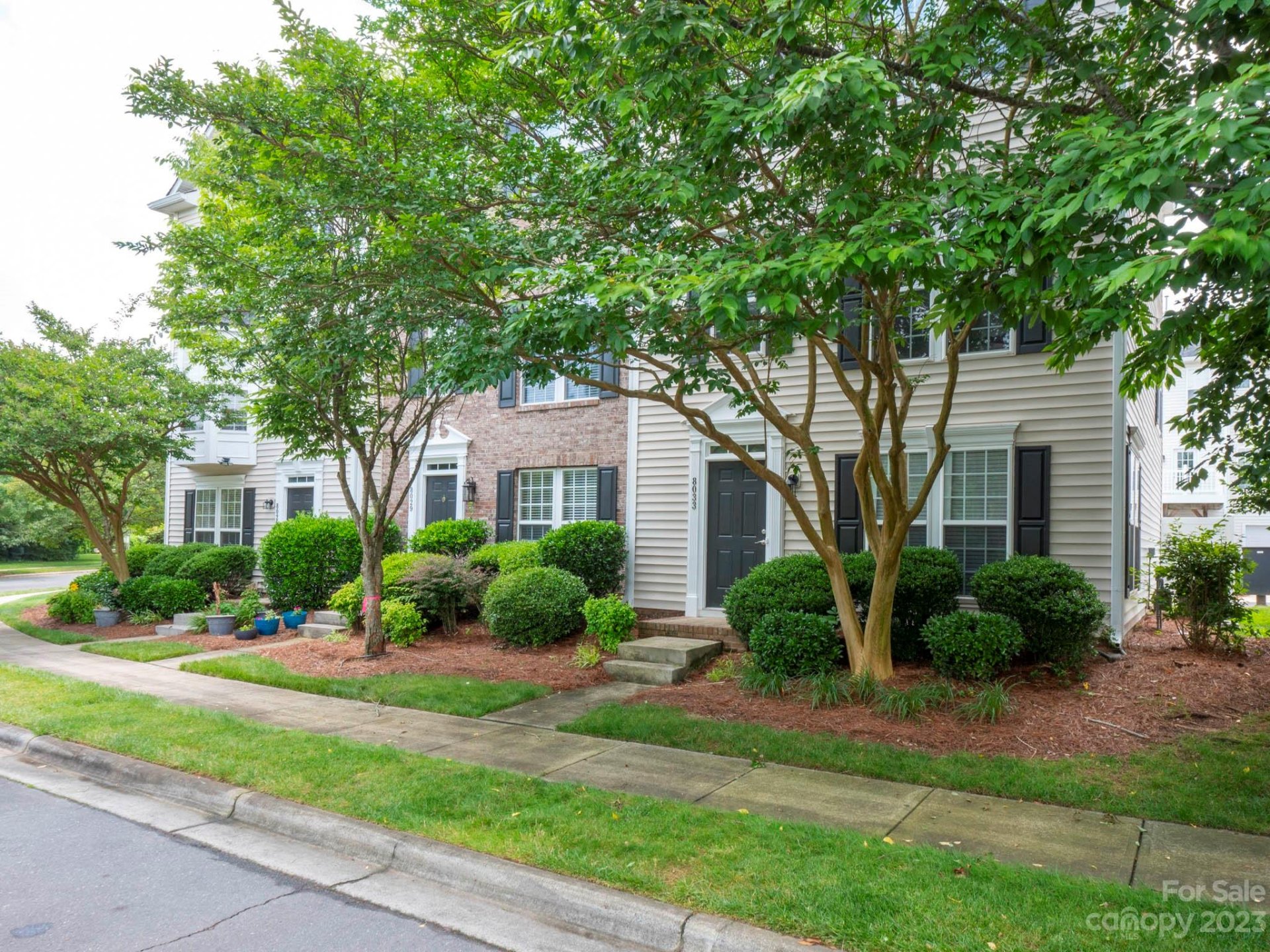 8033 Bristle Toe Lane