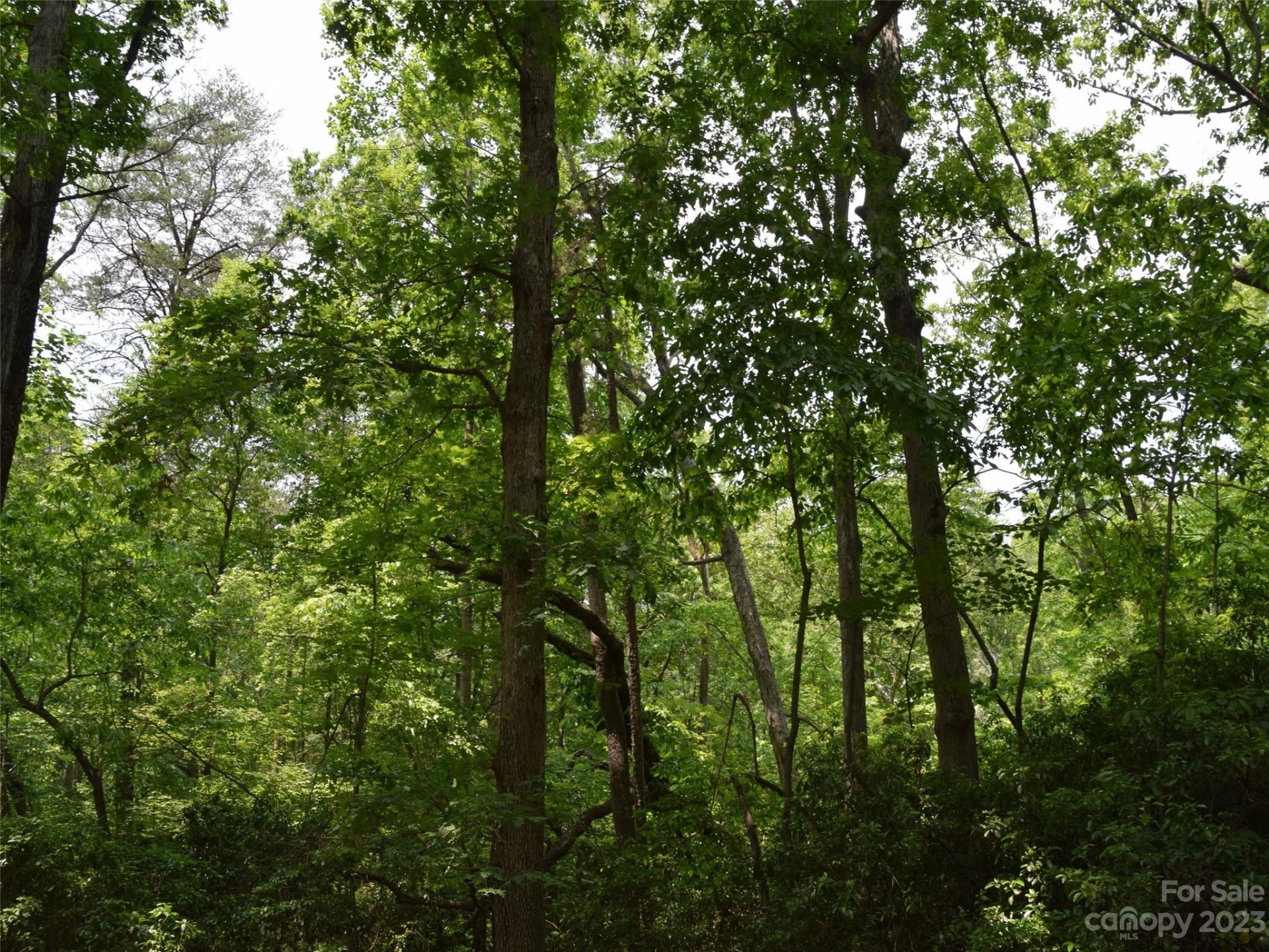 Property image 1 at Lot 9 Club Road, Tryon, NC 28782