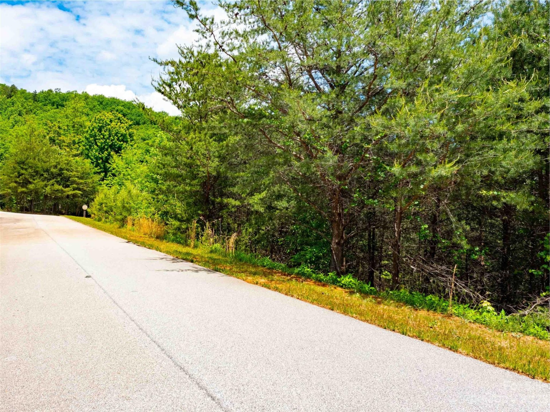 Property image 2 at Lot 150 Birkdale Drive, Mill Spring, NC 28756