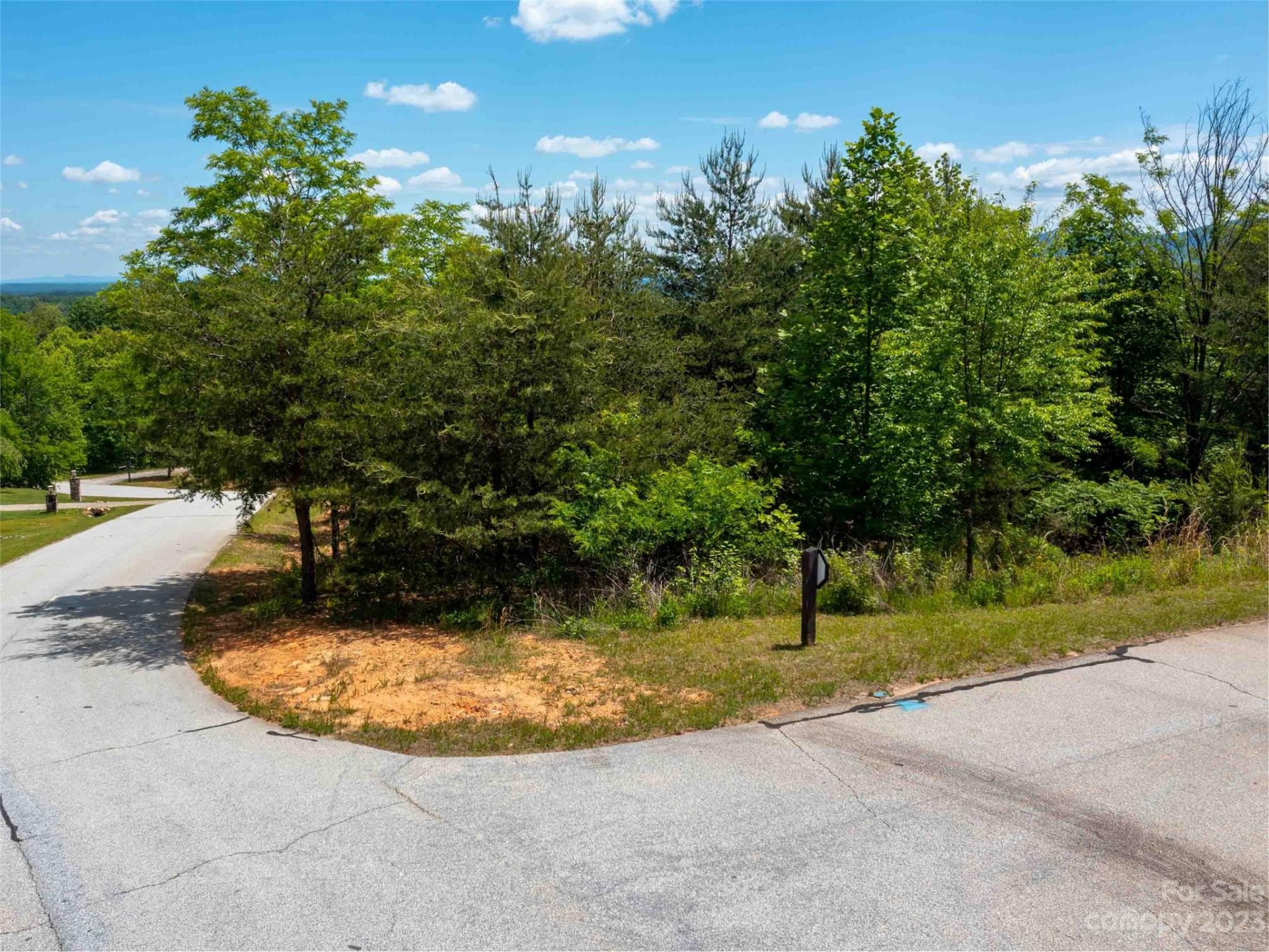 Property image 3 at Lot 150 Birkdale Drive, Mill Spring, NC 28756