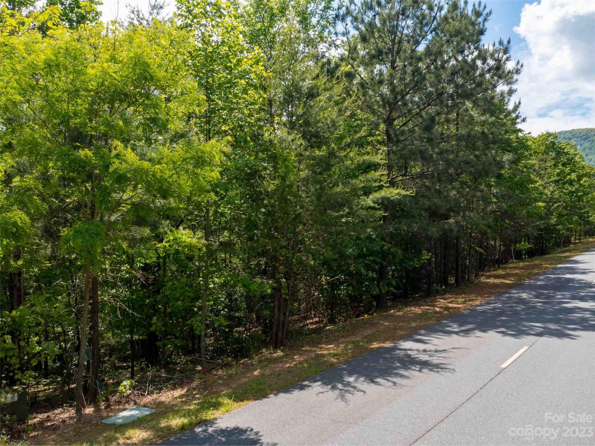 Property image 2 at Lot 2009 Deep Gap Farm Road, Mill Spring, NC 28756
