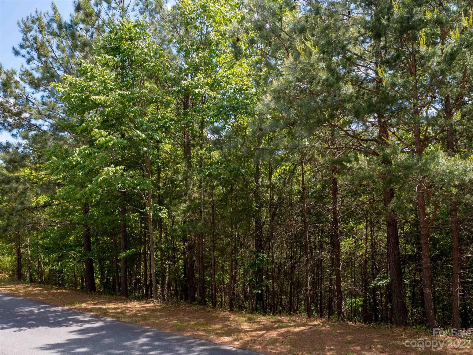 Property image 3 at Lot 2009 Deep Gap Farm Road, Mill Spring, NC 28756