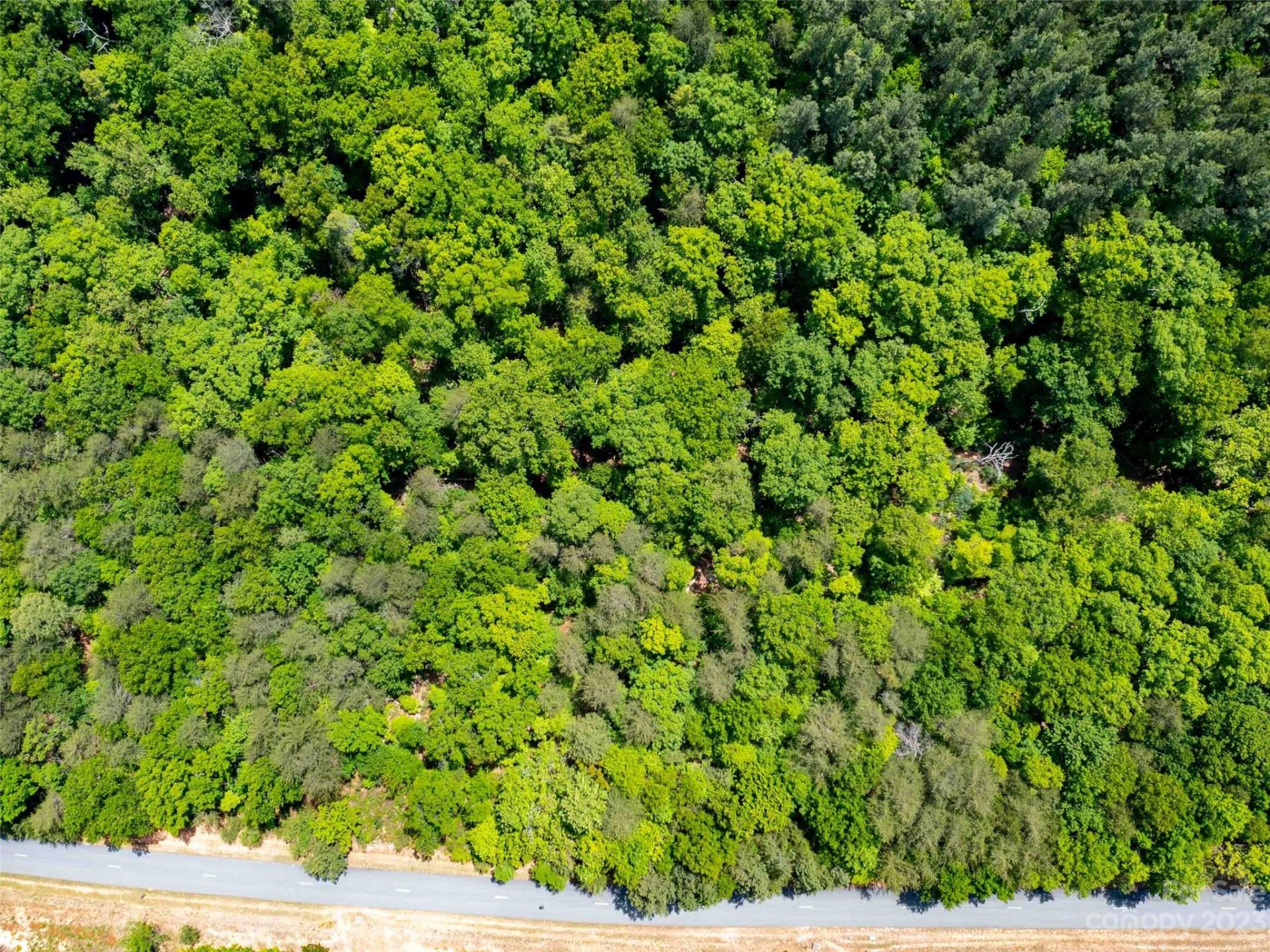 Property image 4 at Lot 2009 Deep Gap Farm Road, Mill Spring, NC 28756
