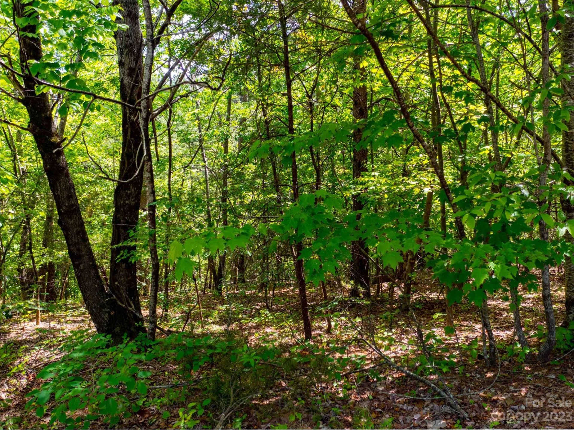 Property image 5 at Lot 2009 Deep Gap Farm Road, Mill Spring, NC 28756