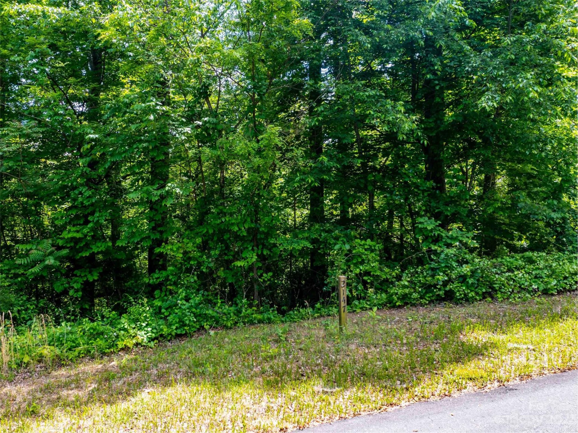 Property image 2 at Lot 2147 Twin Falls Lane, Mill Spring, NC 28756