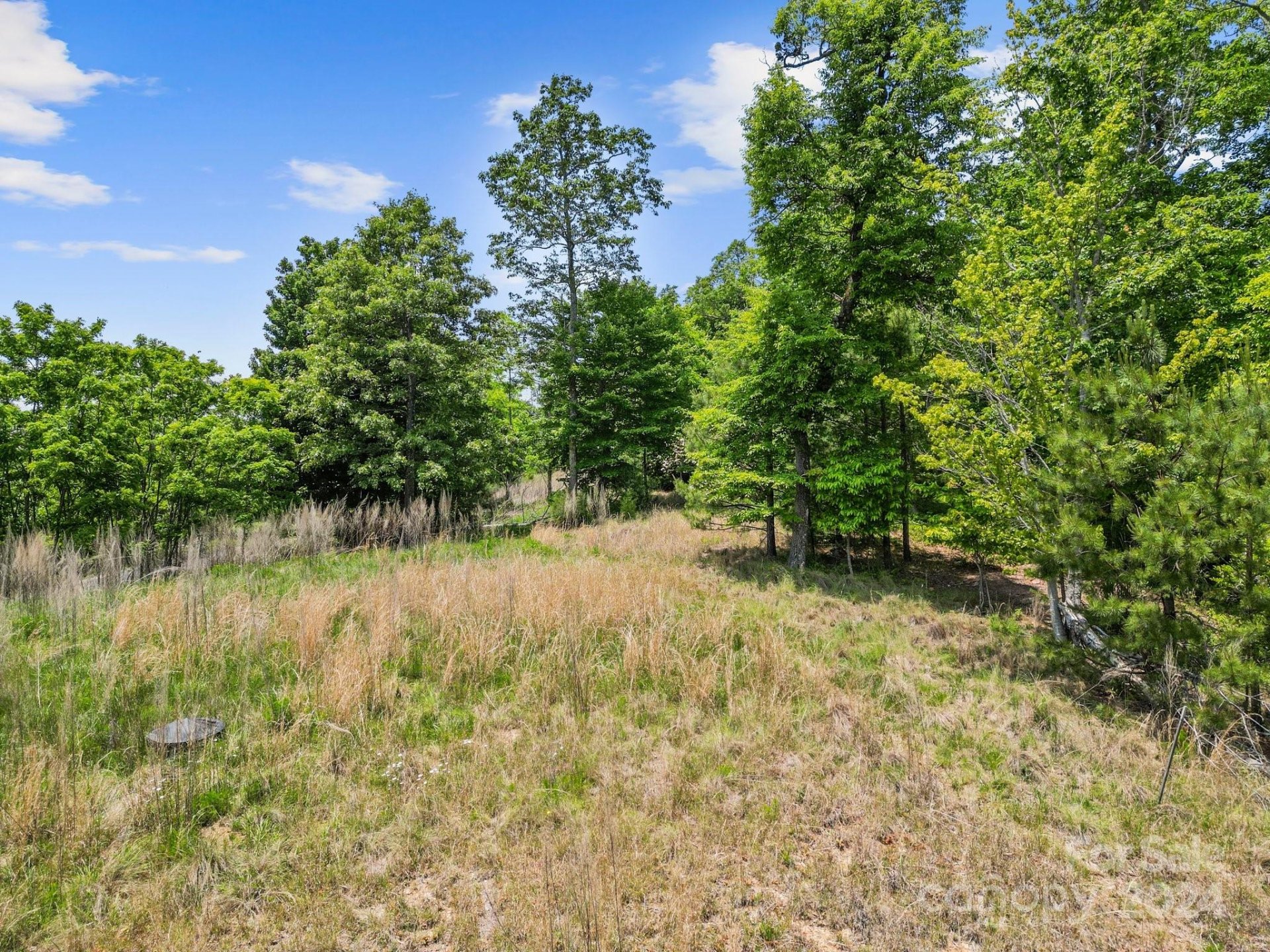 Property image 5 at 113 Stonefly Drive, Horse Shoe, NC 28742