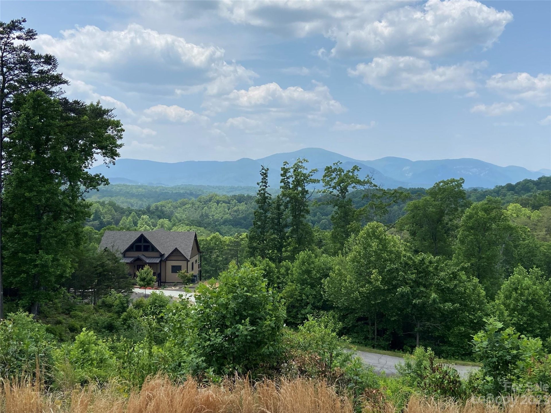 Property image 1 at 0 Willow Top Lane, Lake Lure, NC 28746