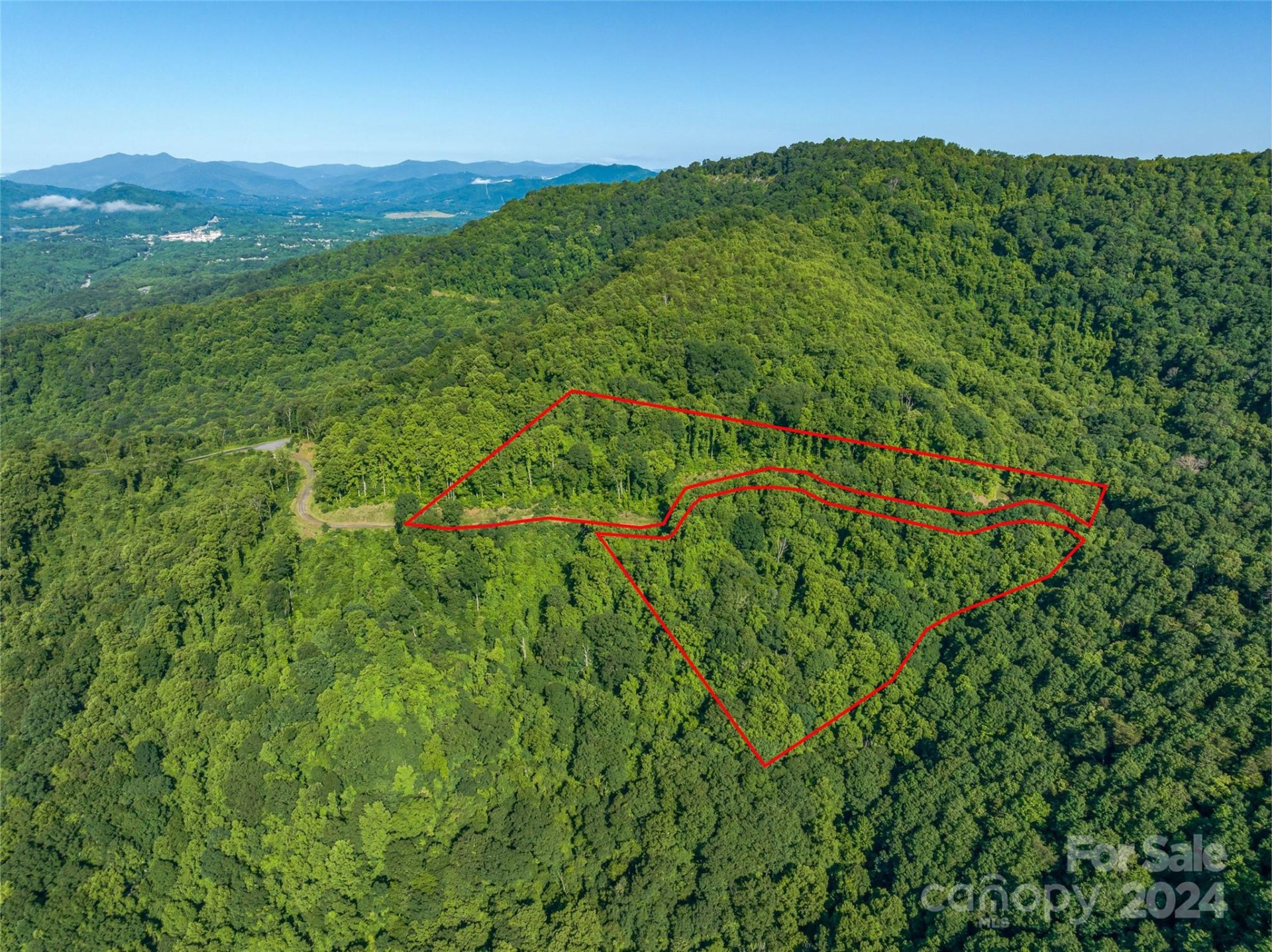 Property image 3 at 9999 28 Lovebird Lane, Canton, NC 28716